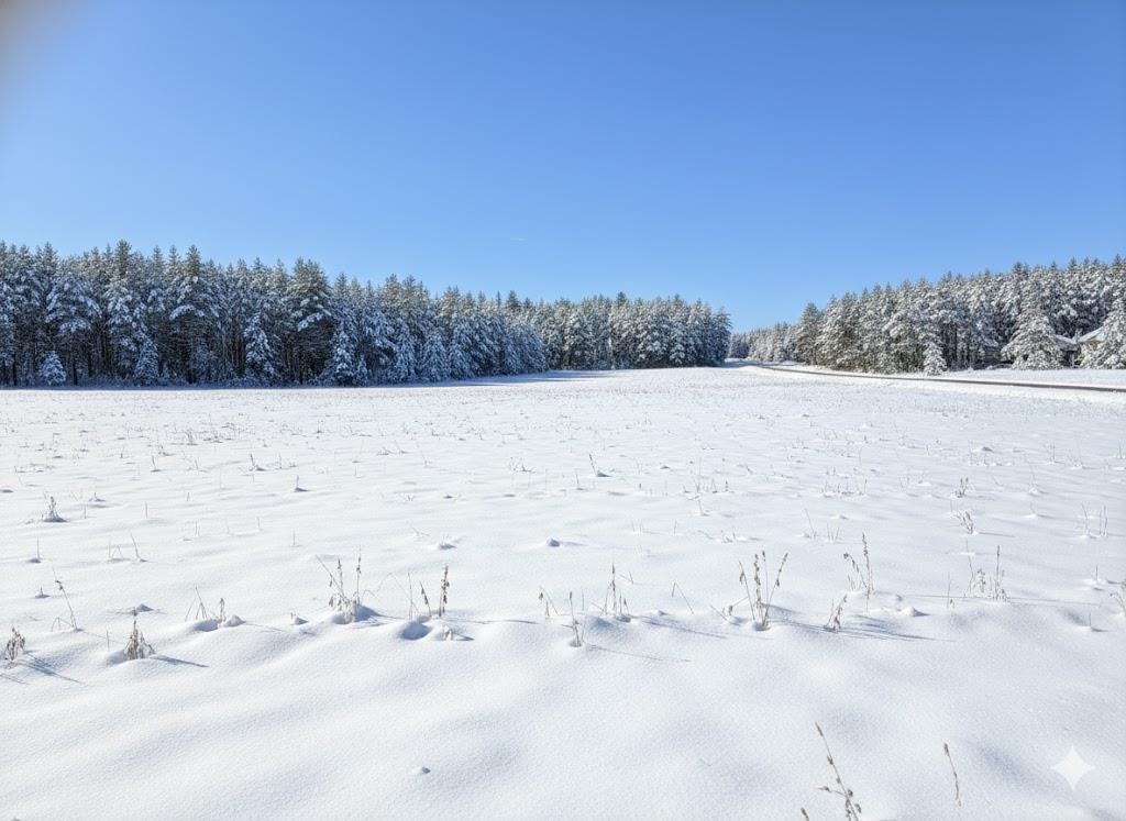 H Summit City Road Paradise Township MI 49649
