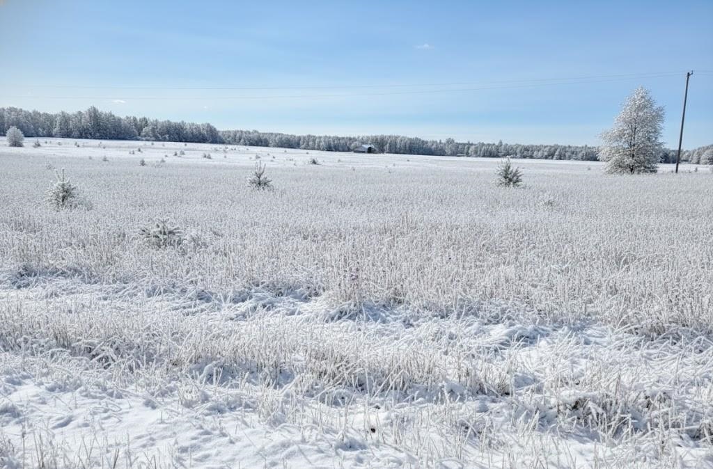 H Summit City Road Paradise Township MI 49649