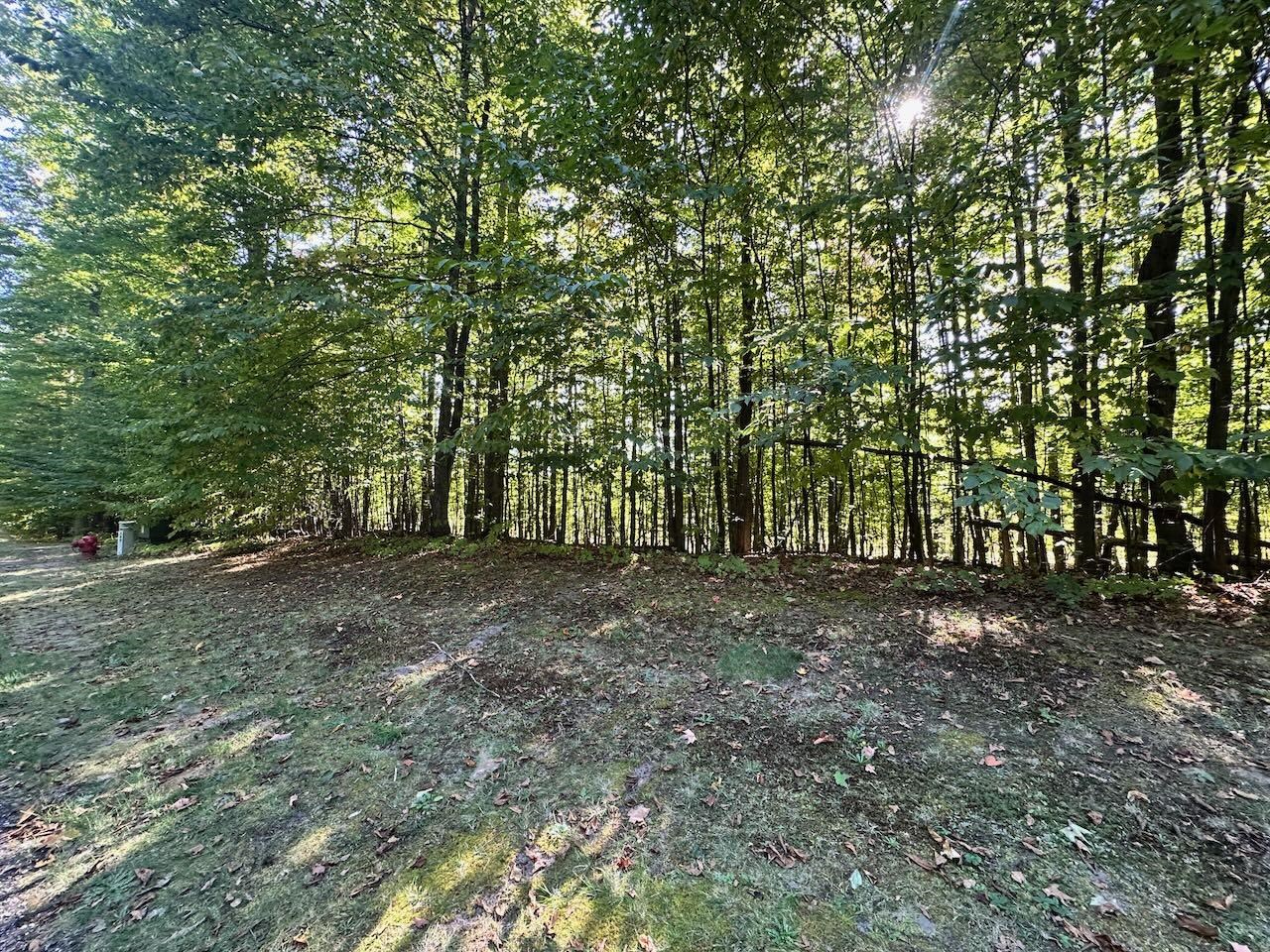 Units 149 & 150 Olympia Fields Custer Township MI 49615