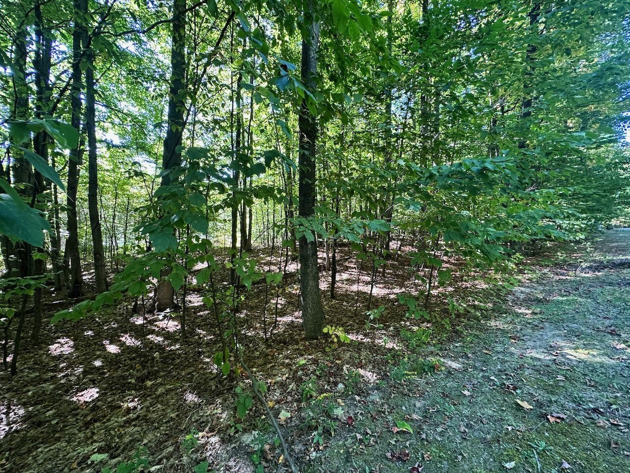 Units 149 & 150 Olympia Fields Custer Township MI 49615