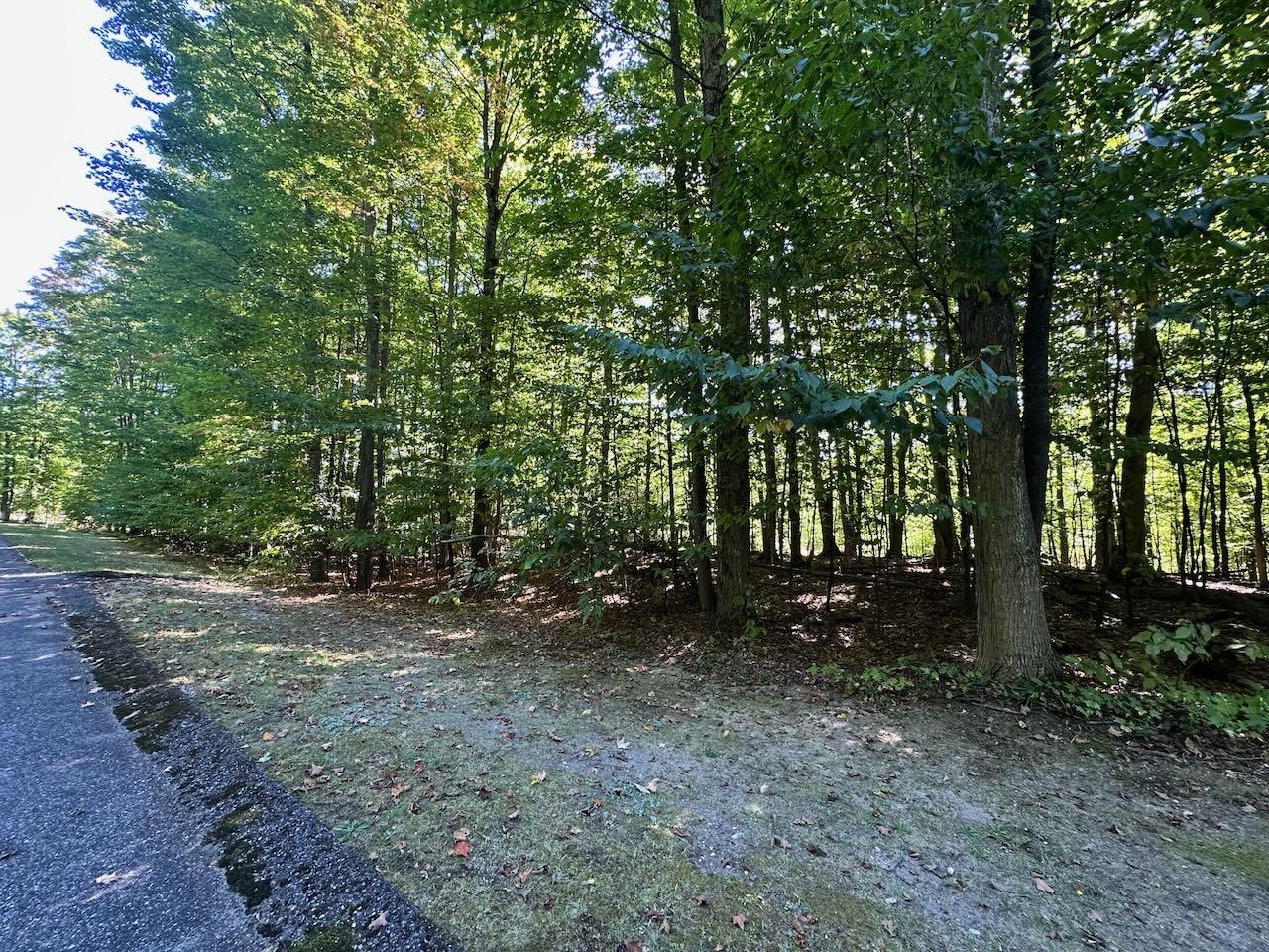 Units 149 & 150 Olympia Fields Custer Township MI 49615