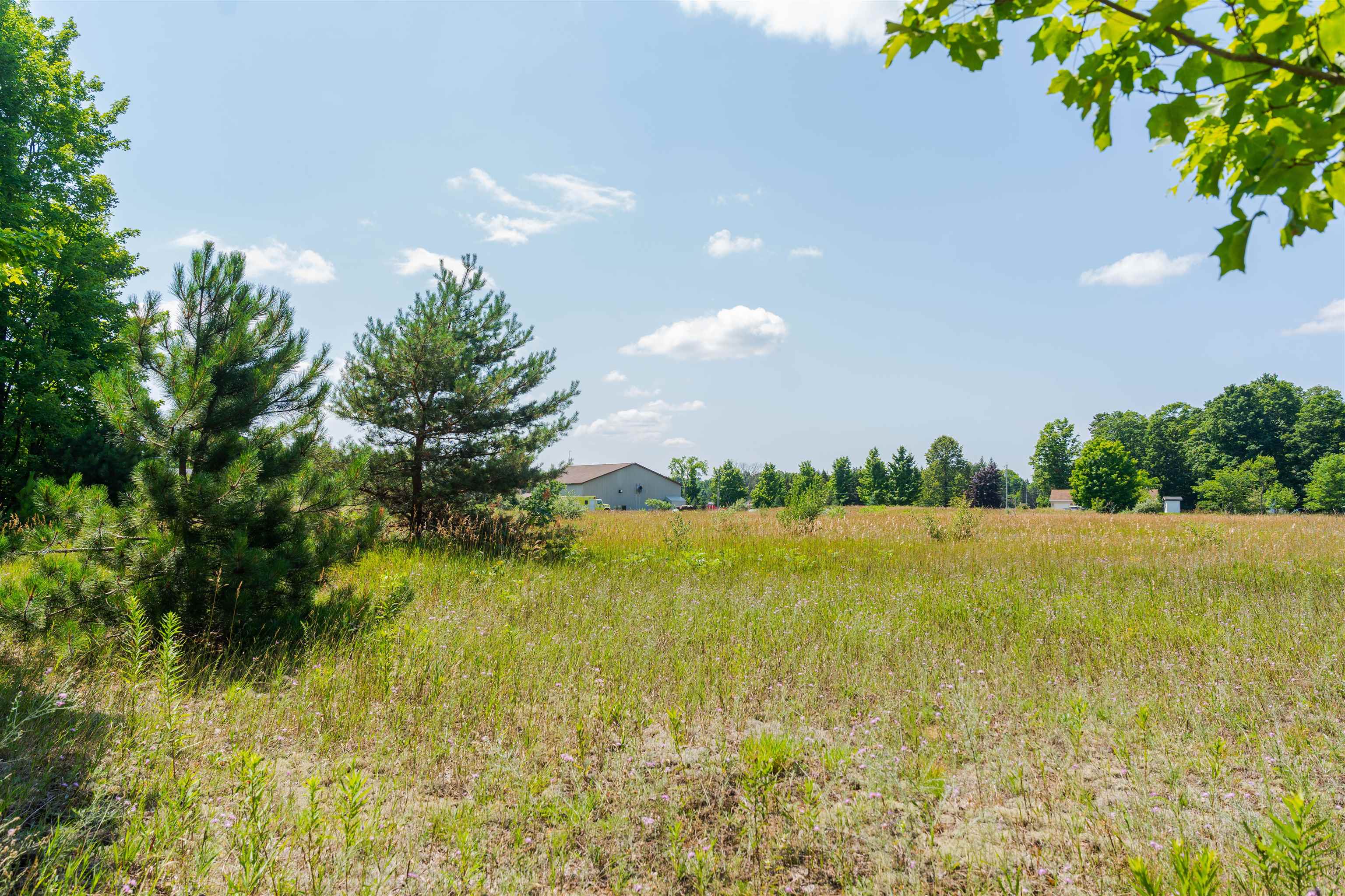 Parcel A Honor Highway Inland Township MI 49643