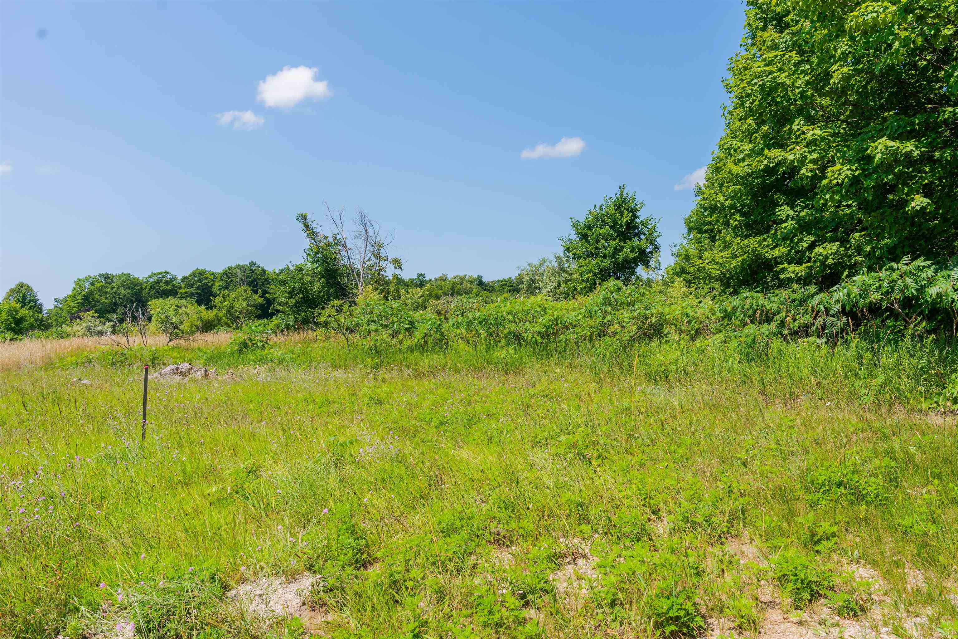 Parcel A Honor Highway Inland Township MI 49643