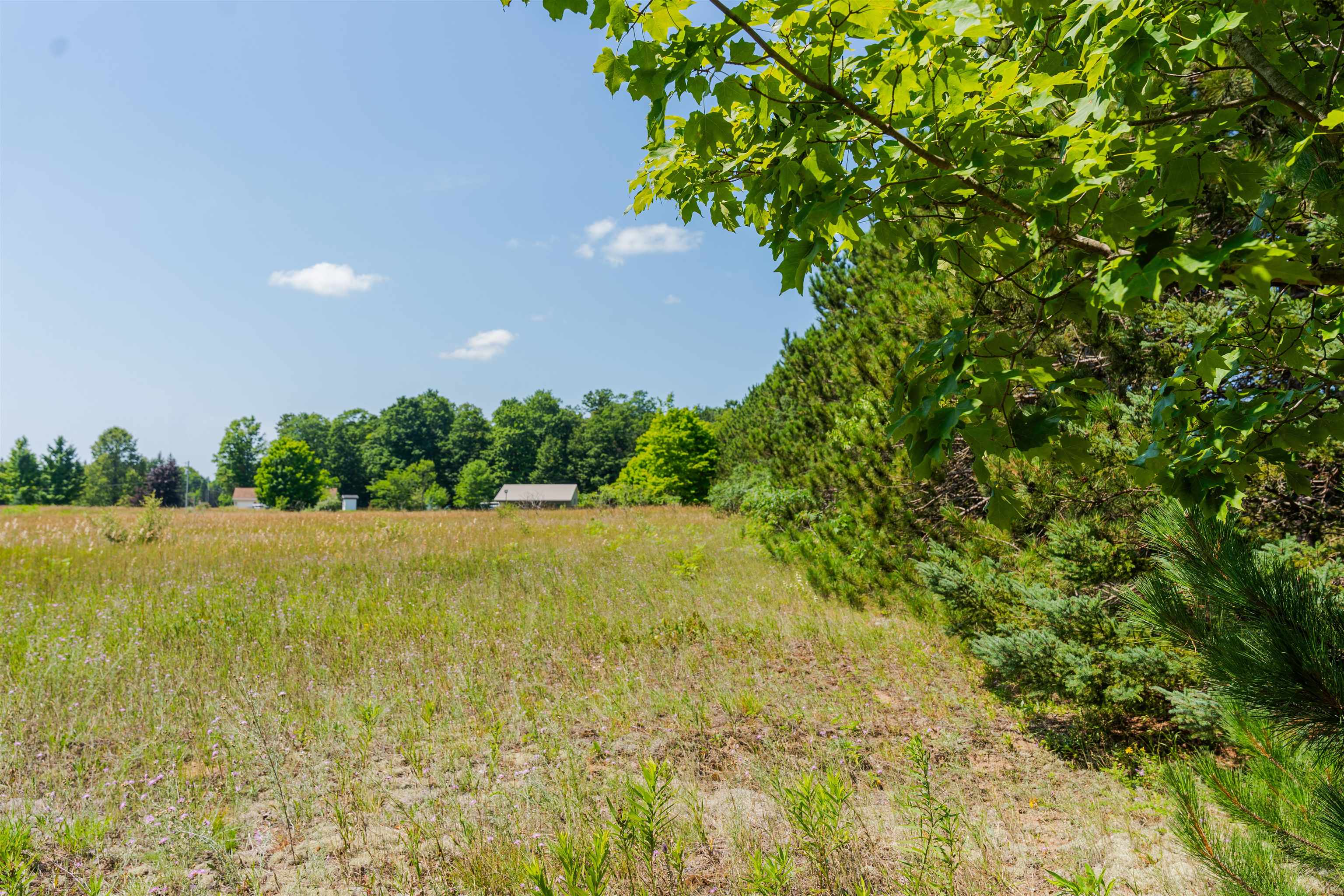 Parcel A Honor Highway Inland Township MI 49643