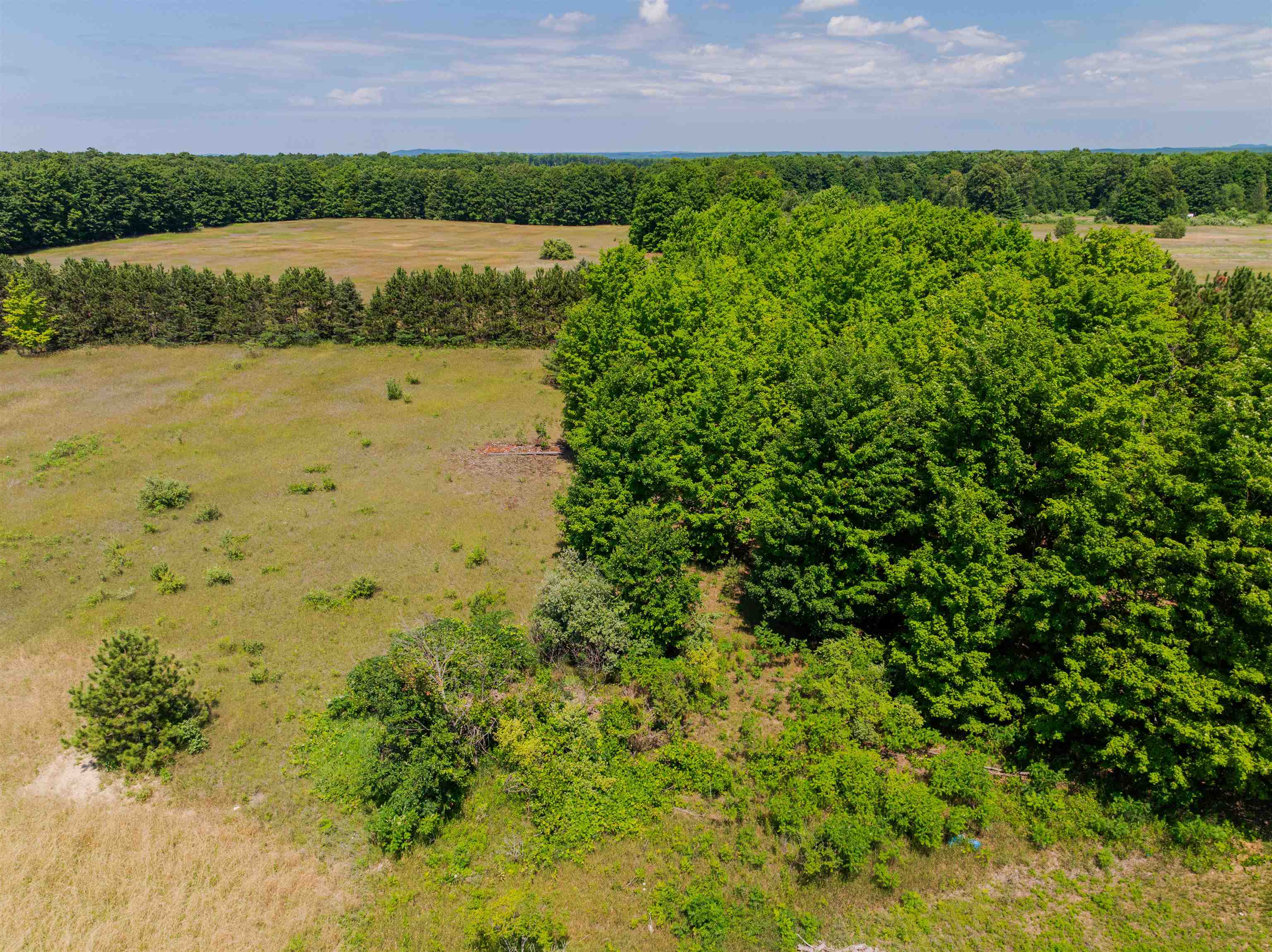 Parcel A Honor Highway Inland Township MI 49643