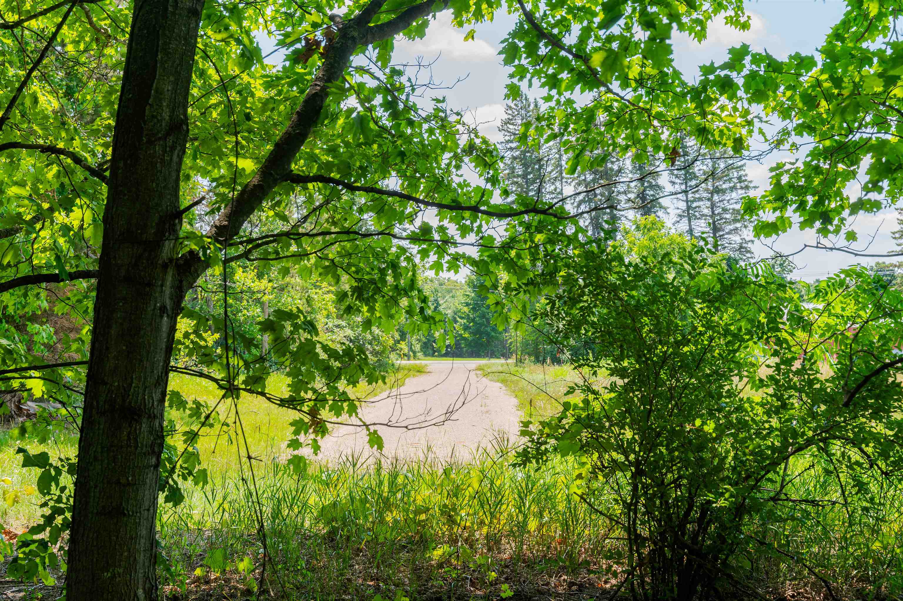 Parcel A Honor Highway Inland Township MI 49643