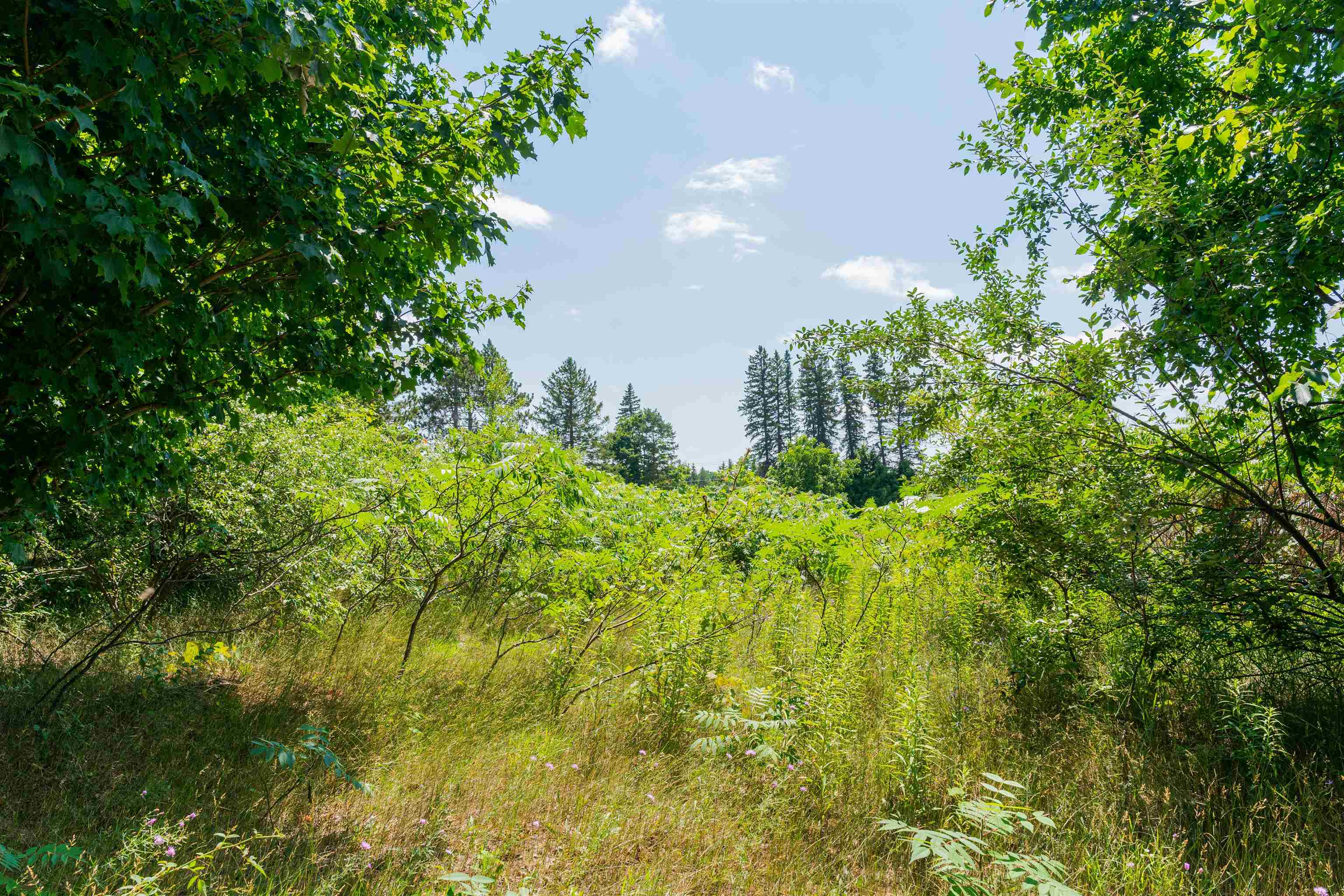 Parcel A Honor Highway Inland Township MI 49643