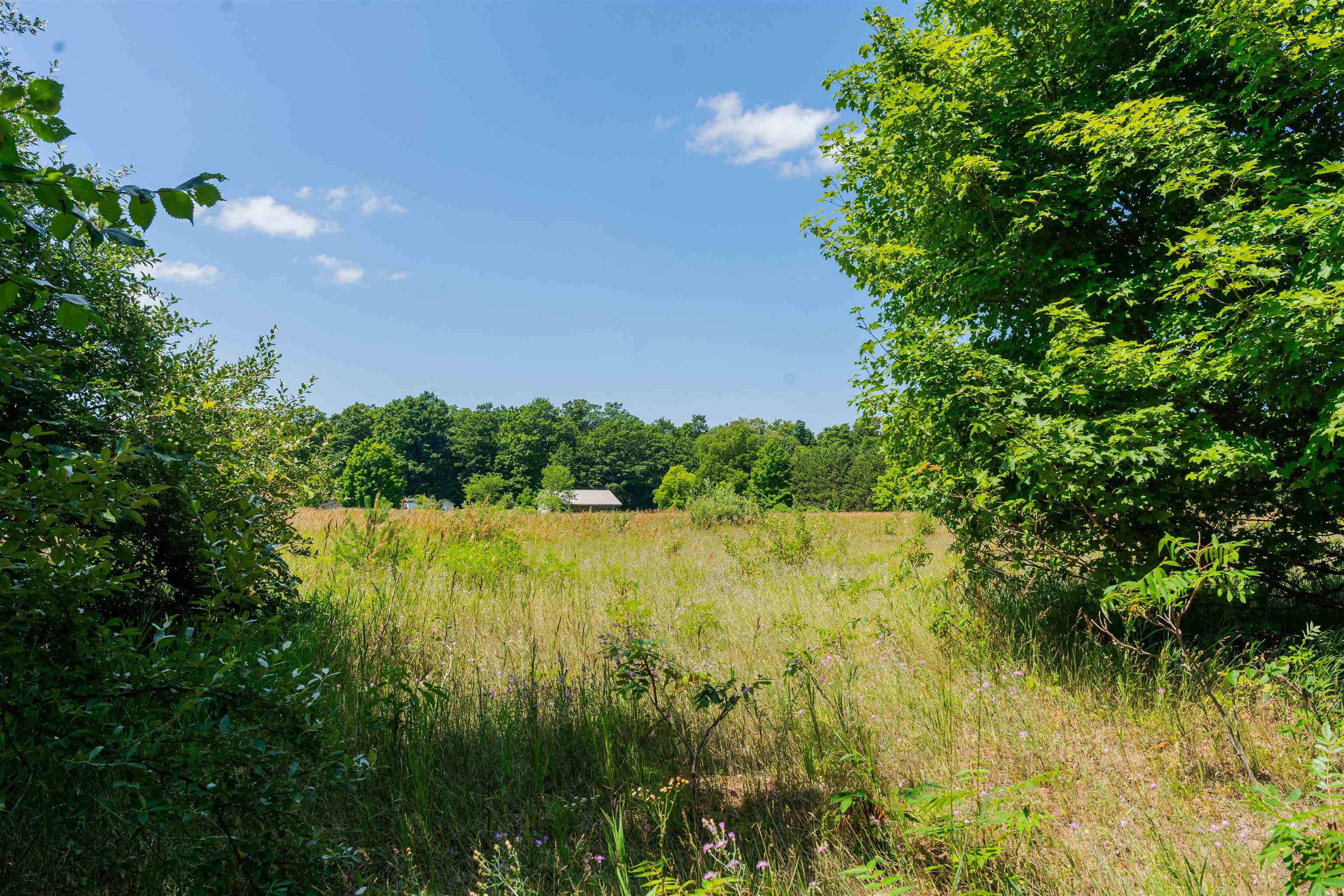 Parcel A Honor Highway Inland Township MI 49643
