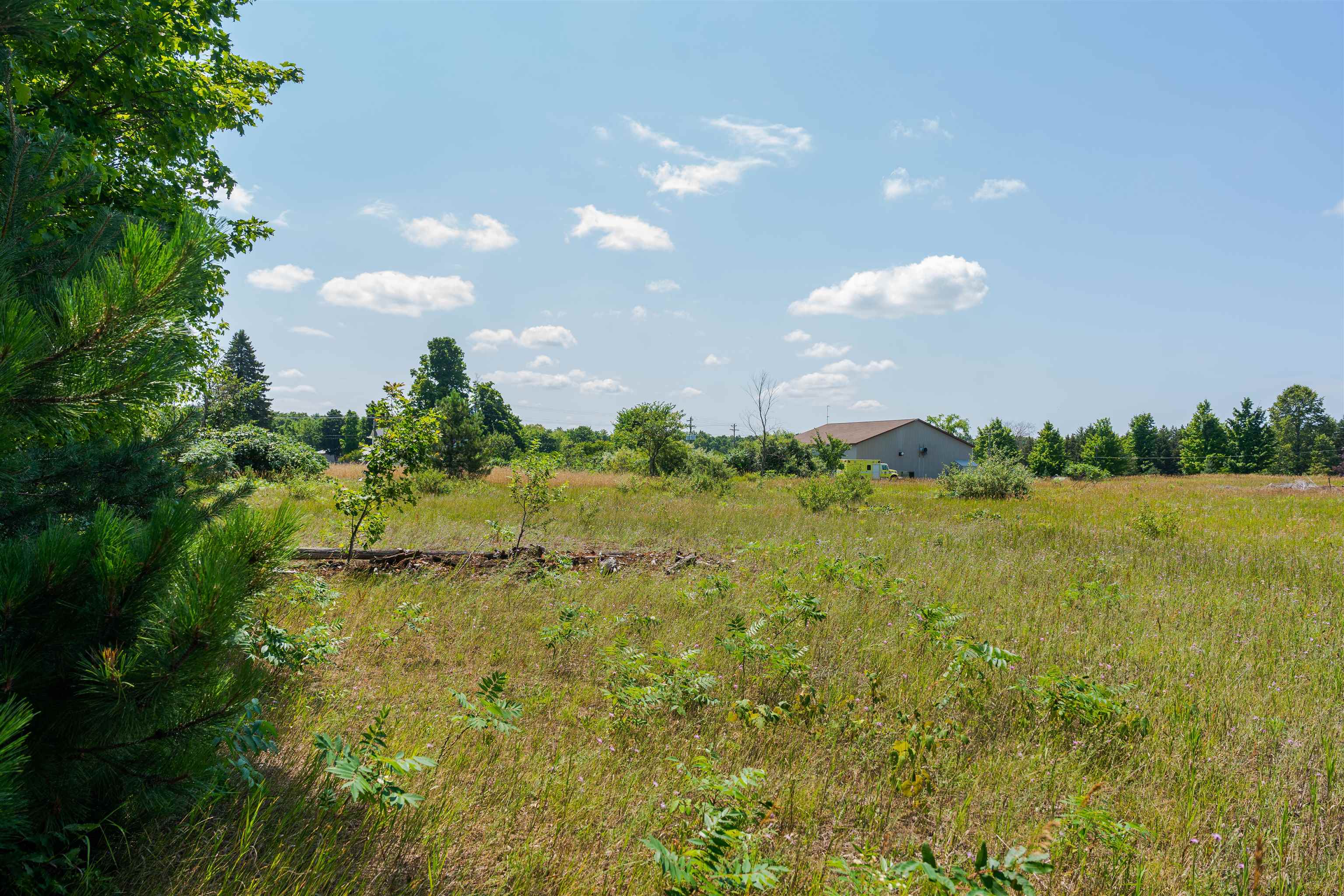 Parcel A Honor Highway Inland Township MI 49643