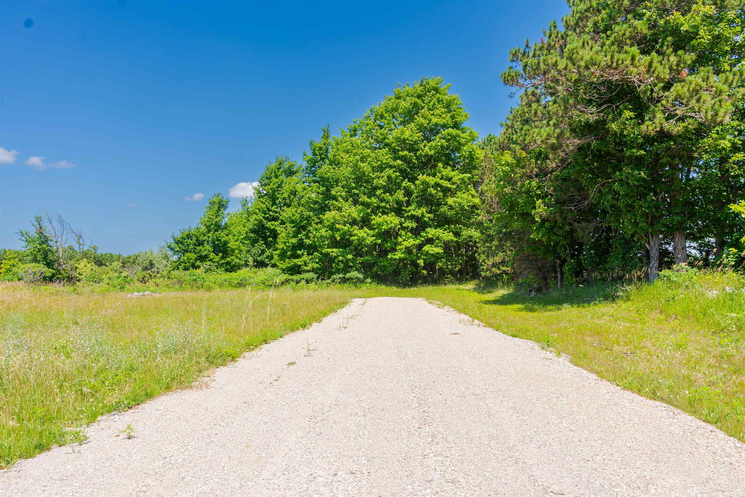 Parcel A Honor Highway Inland Township MI 49643