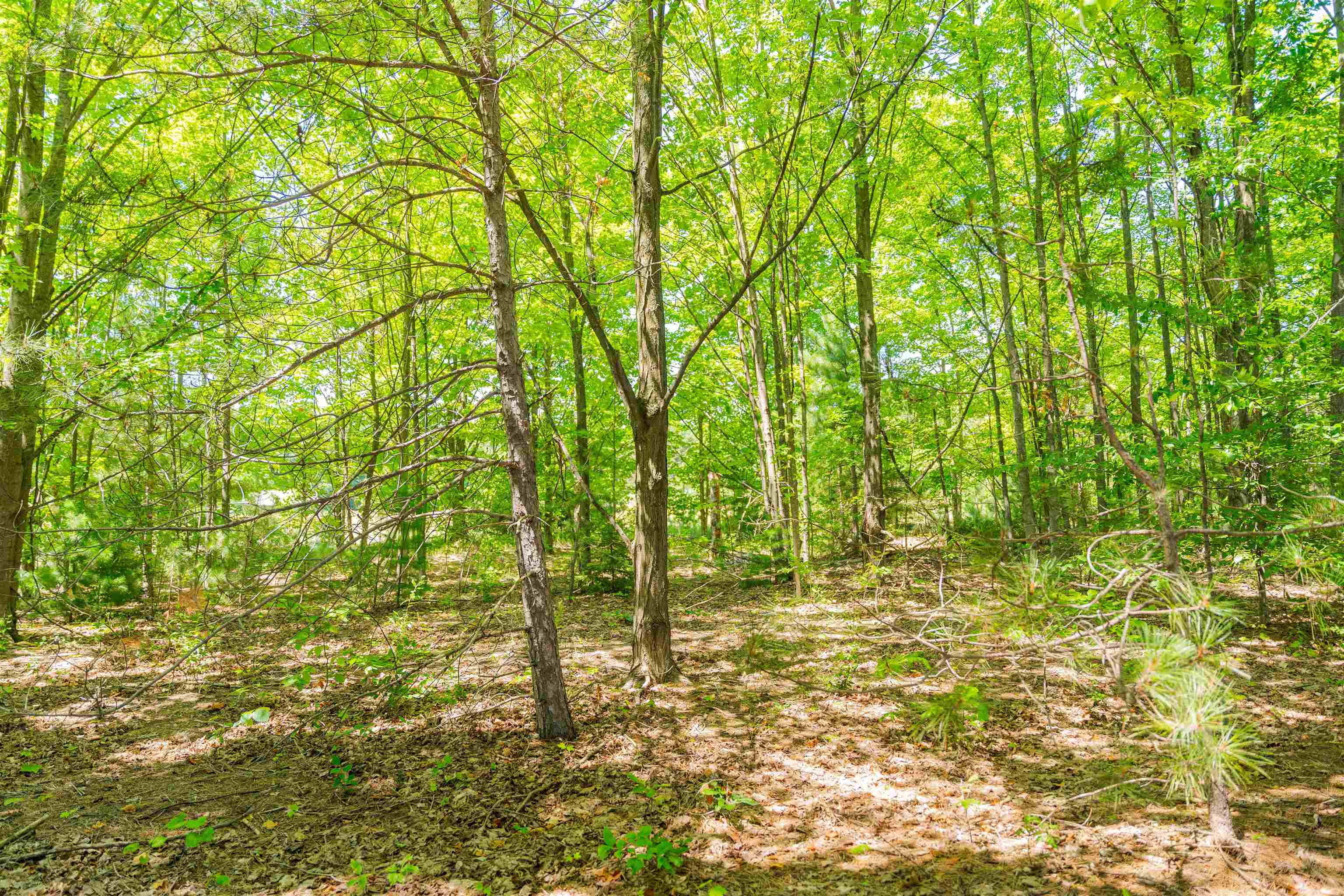 Parcel A Honor Highway Inland Township MI 49643
