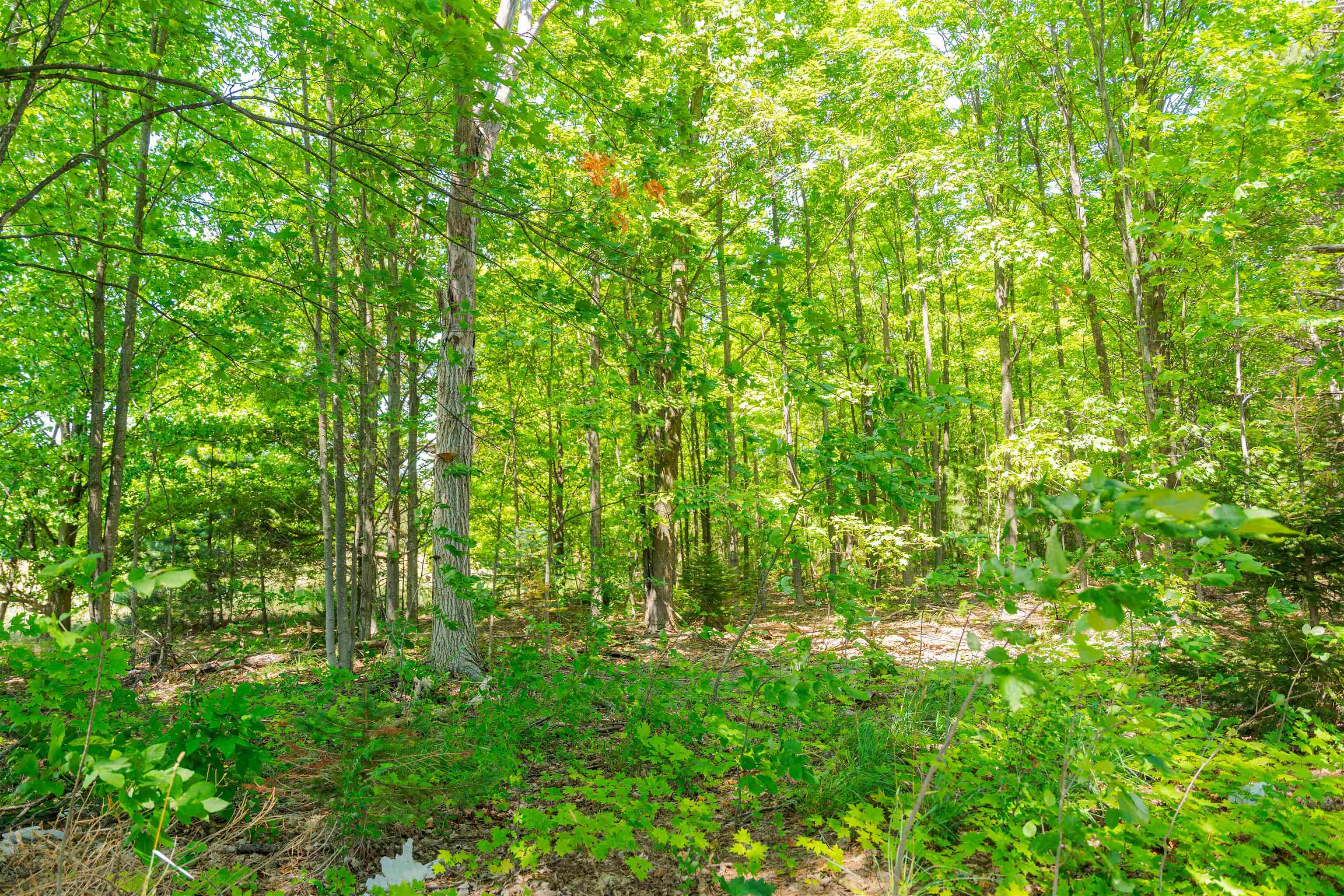 Parcel A Honor Highway Inland Township MI 49643