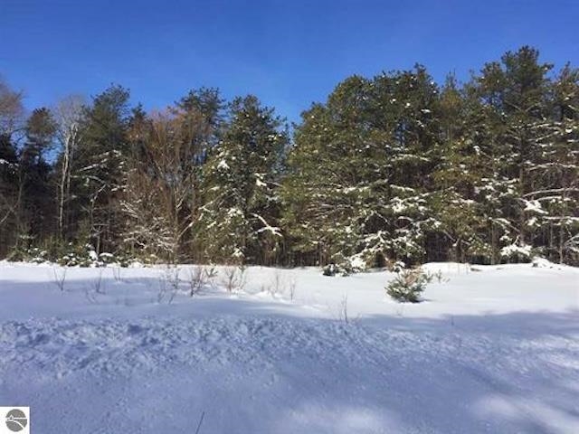 Parcel F3a Jackson Creek Road Paradise Township MI 49649