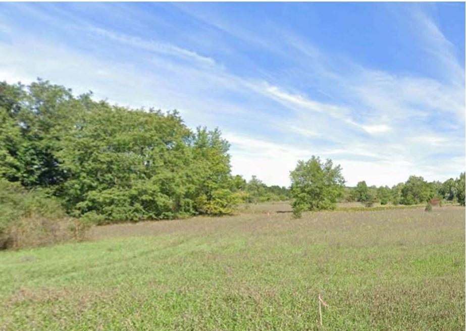 Unit 4 North Street Colfax Township MI 49683