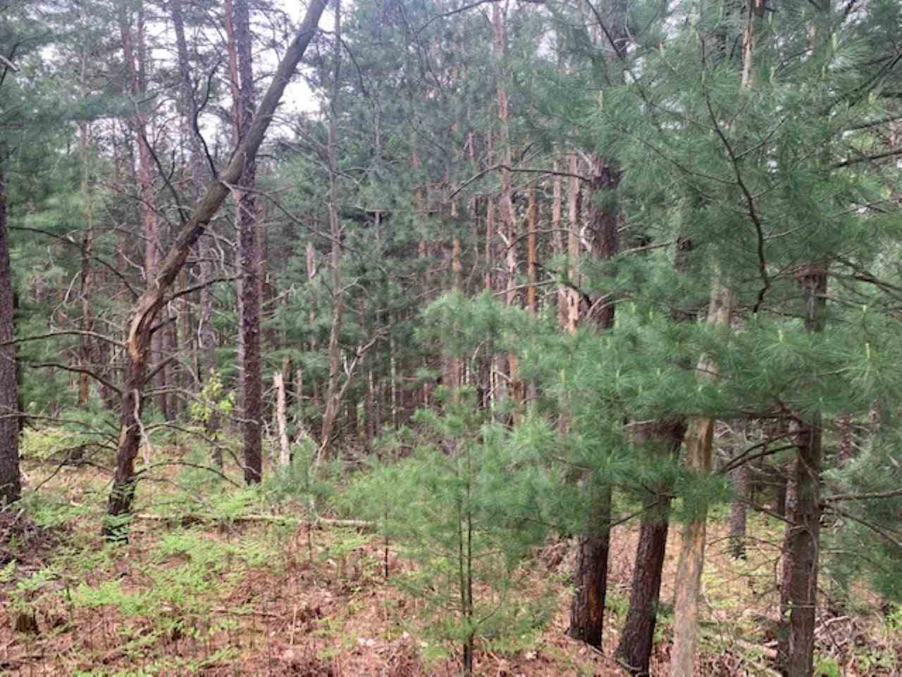 865 Wind Drift Drive Garfield Charter Township MI 49684