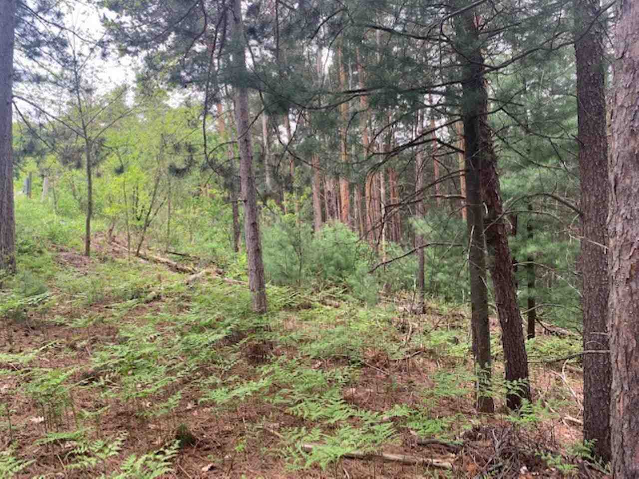 865 Wind Drift Drive Garfield Charter Township MI 49684