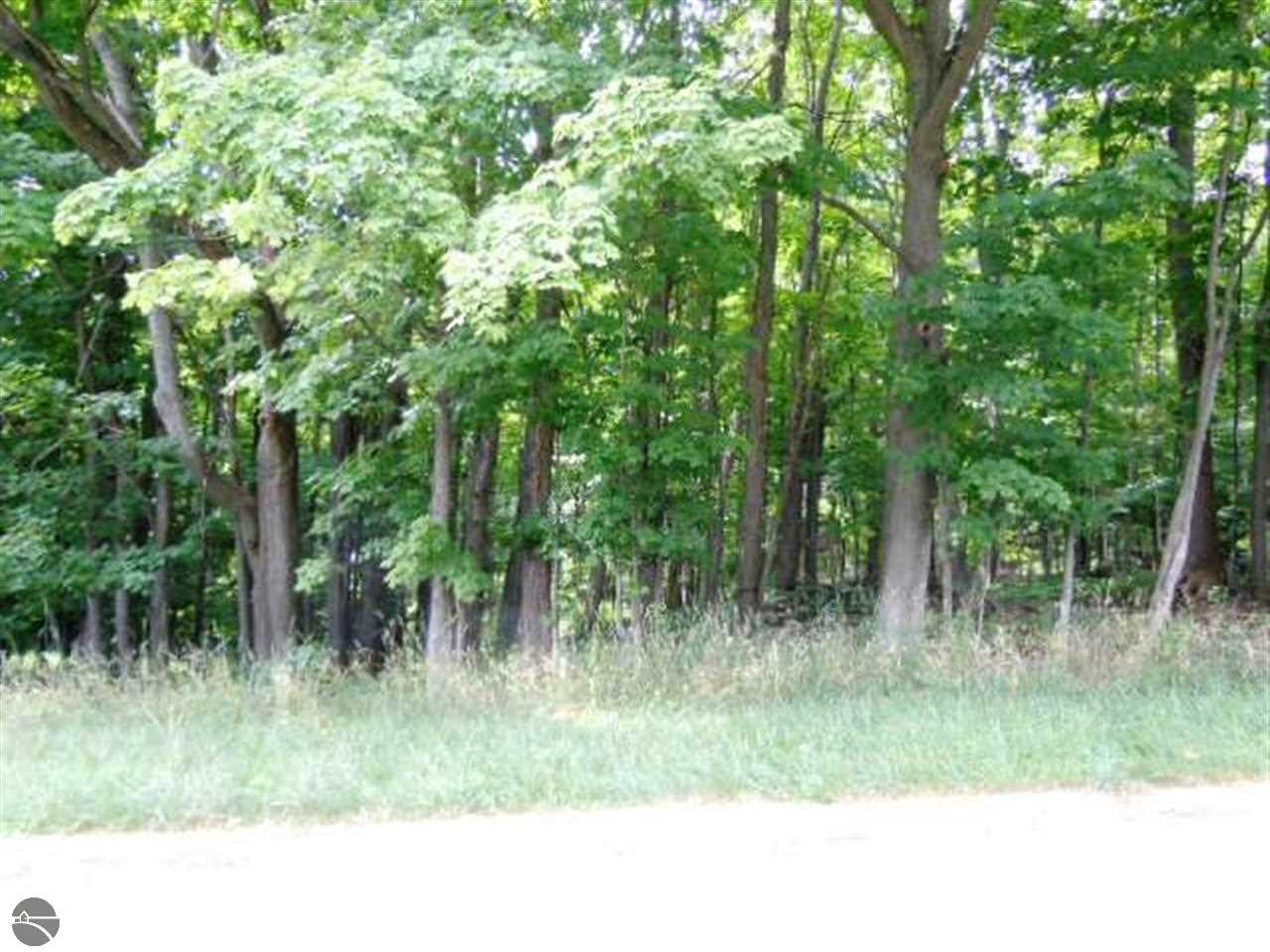 865 Wind Drift Drive Garfield Charter Township MI 49684