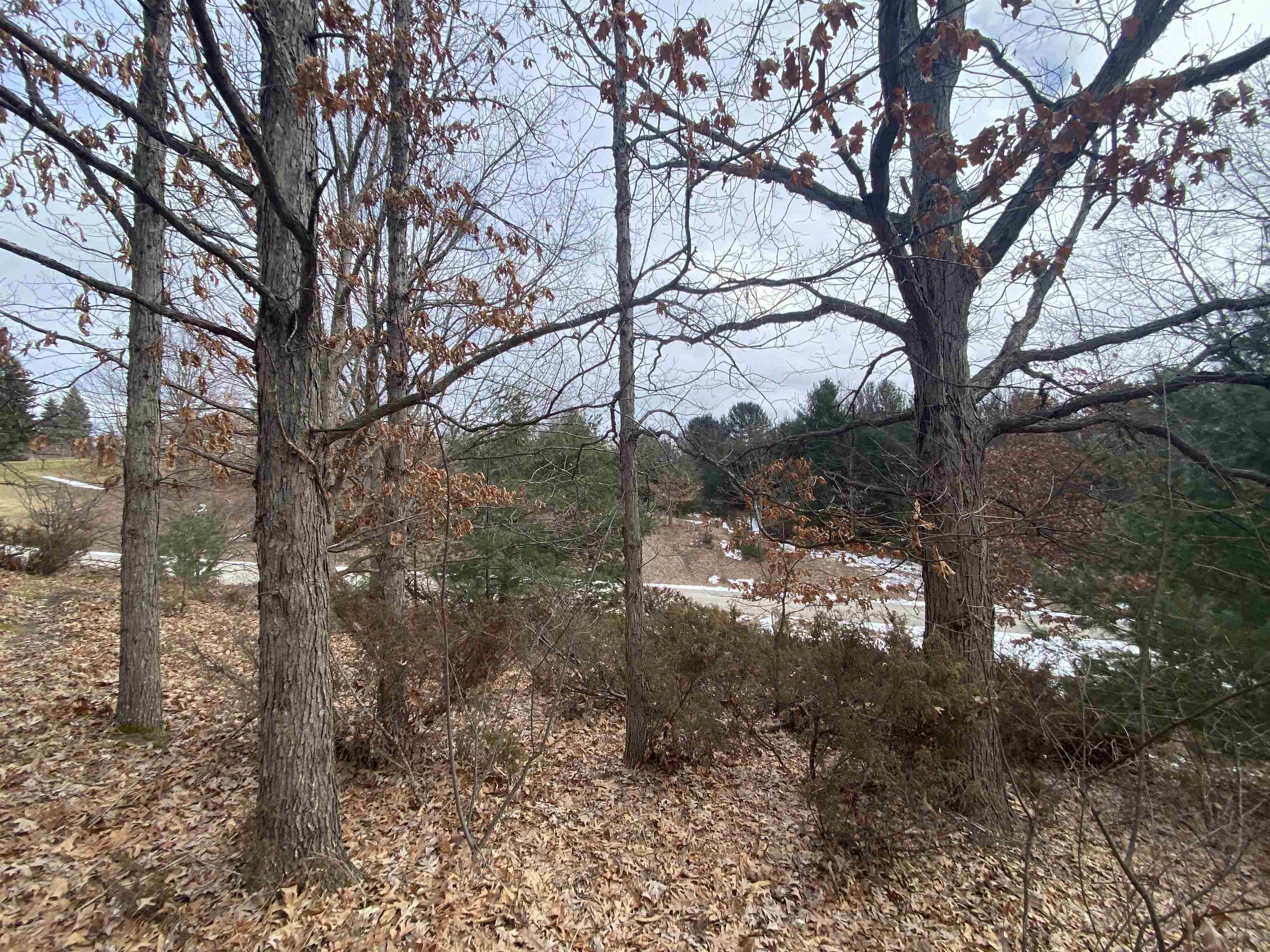 Lot 38 Kirkridge Drive Acme Township MI 49690
