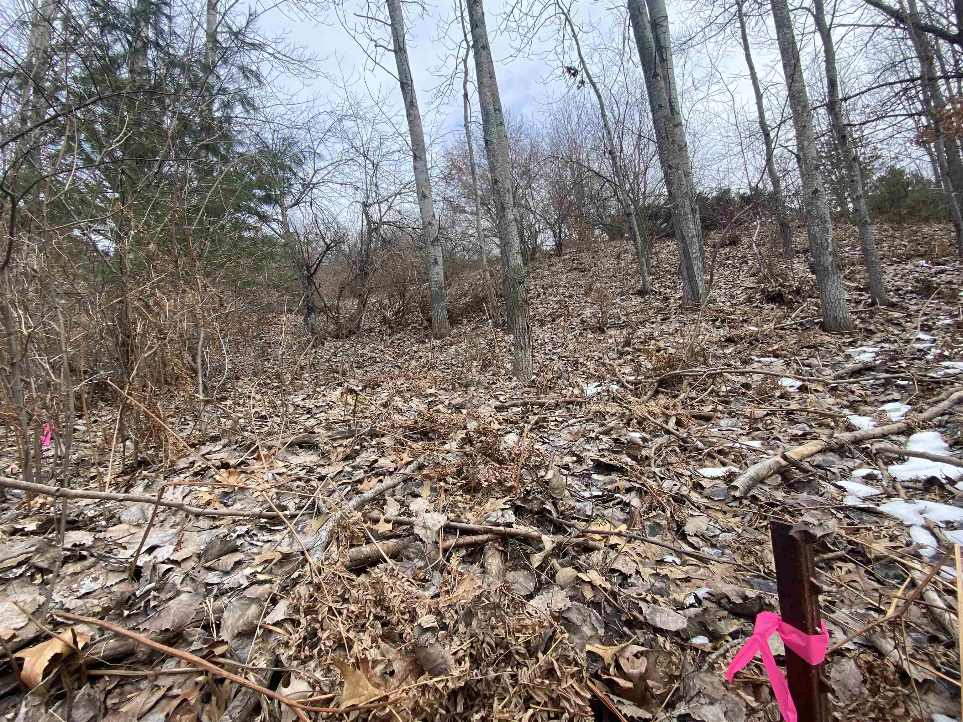 Lot 38 Kirkridge Drive Acme Township MI 49690