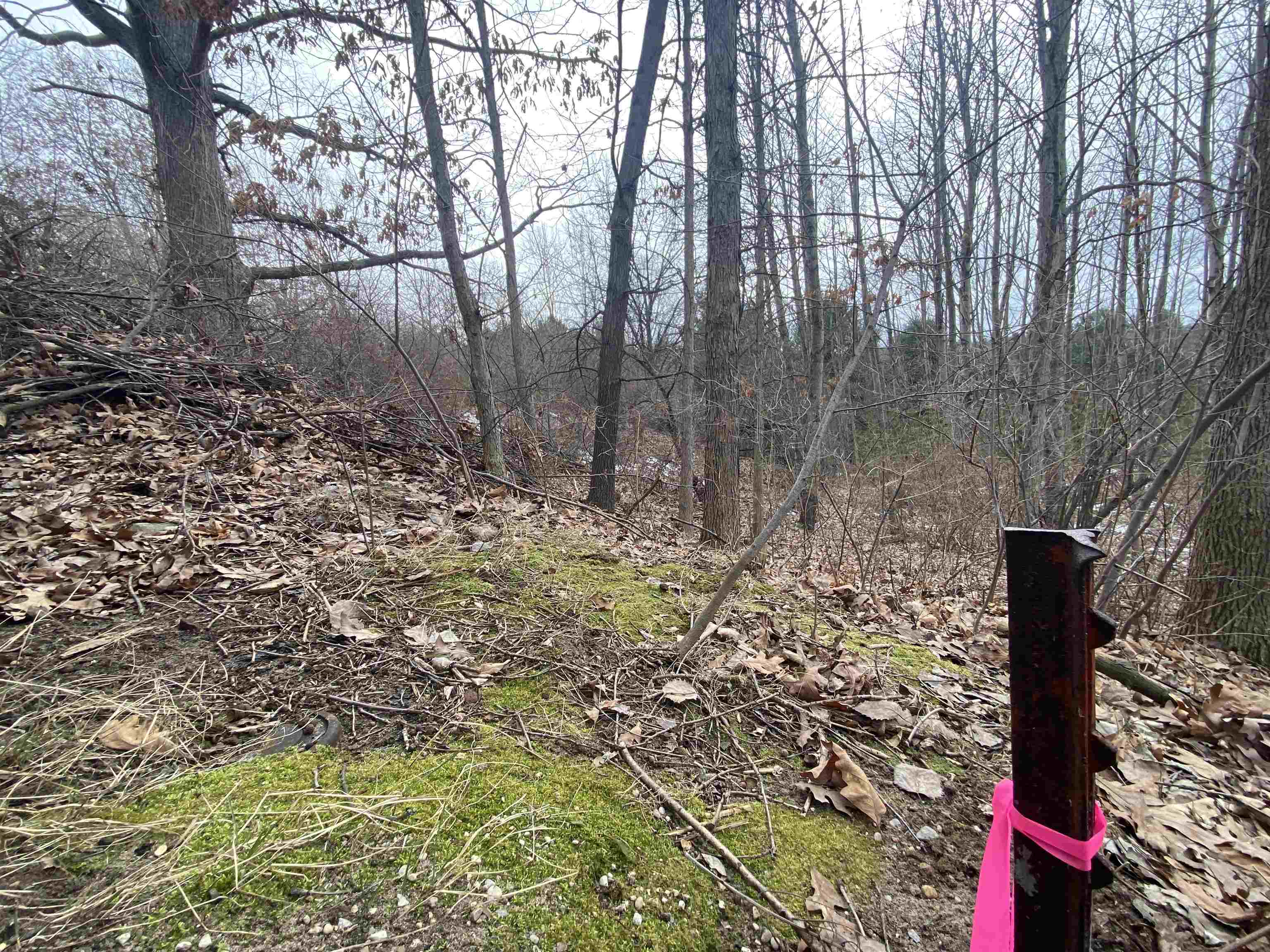 Lot 38 Kirkridge Drive Acme Township MI 49690