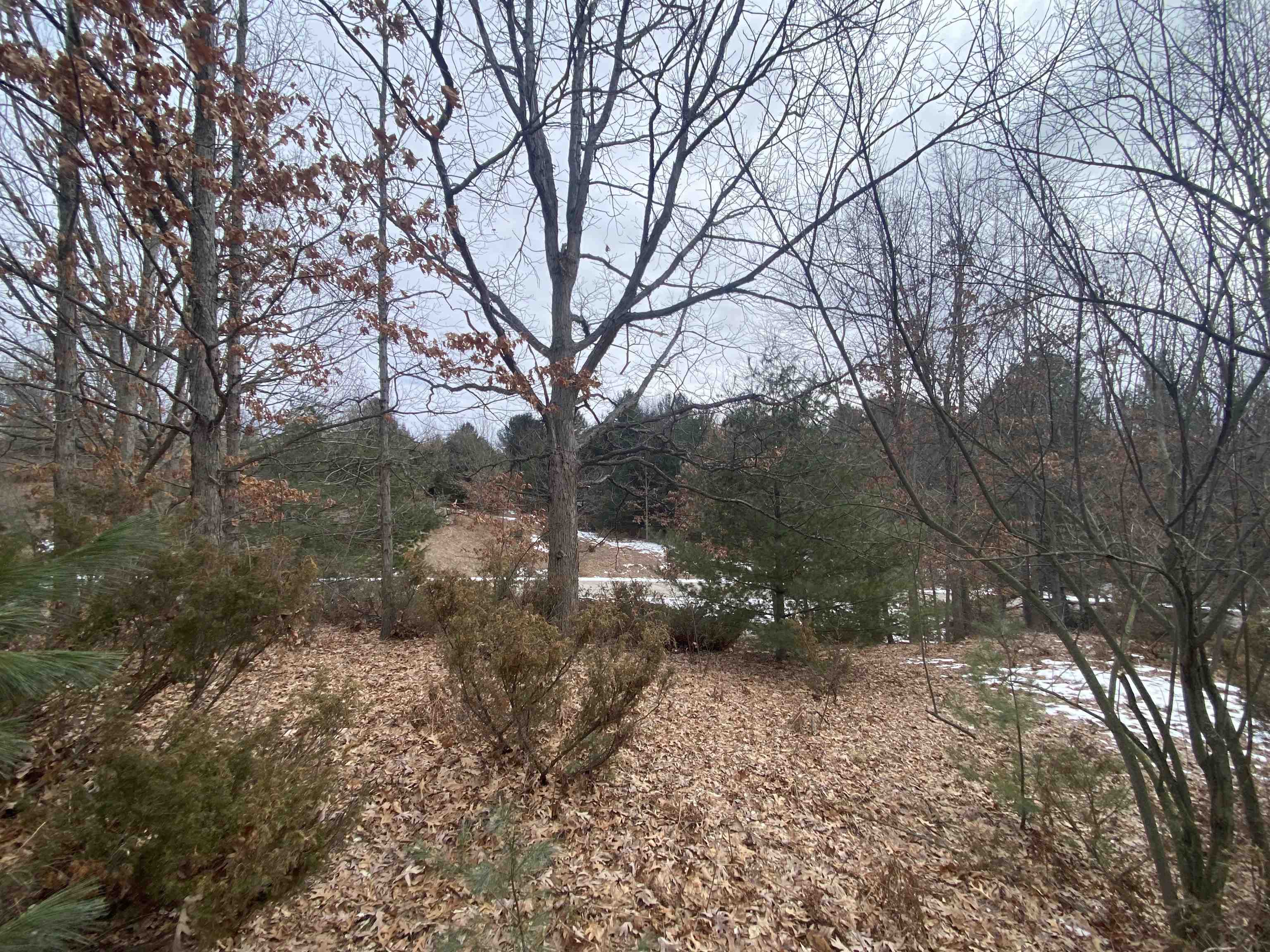 Lot 38 Kirkridge Drive Acme Township MI 49690