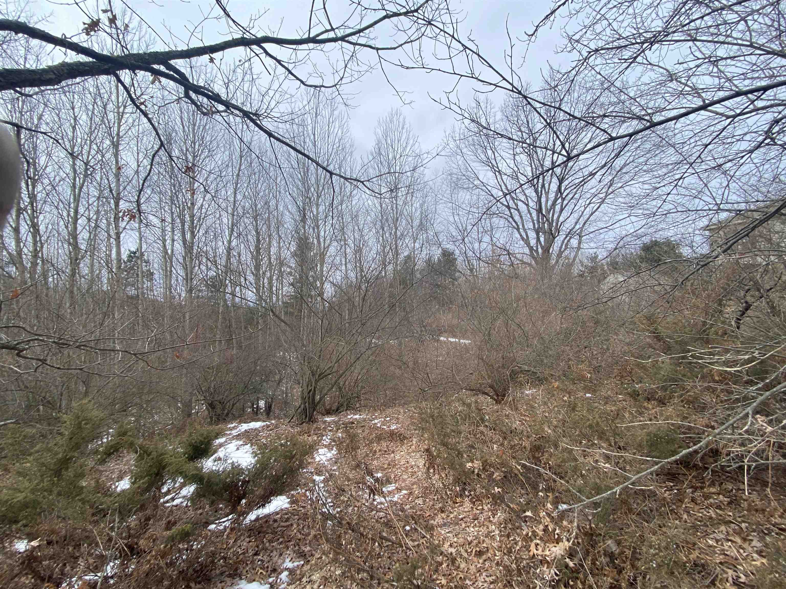 Lot 38 Kirkridge Drive Acme Township MI 49690