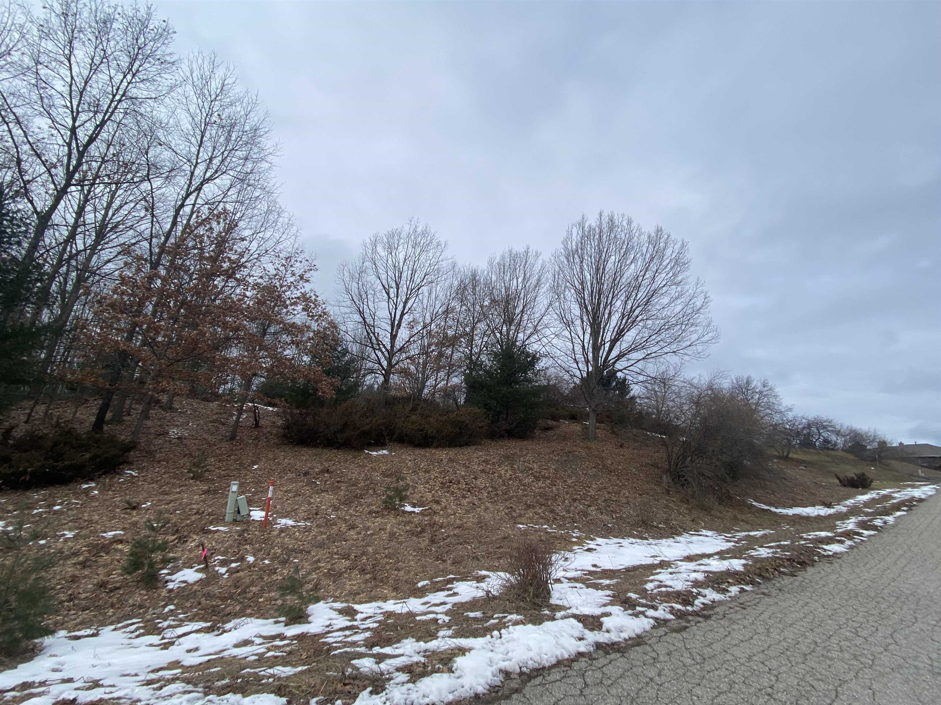 Lot 38 Kirkridge Drive Acme Township MI 49690