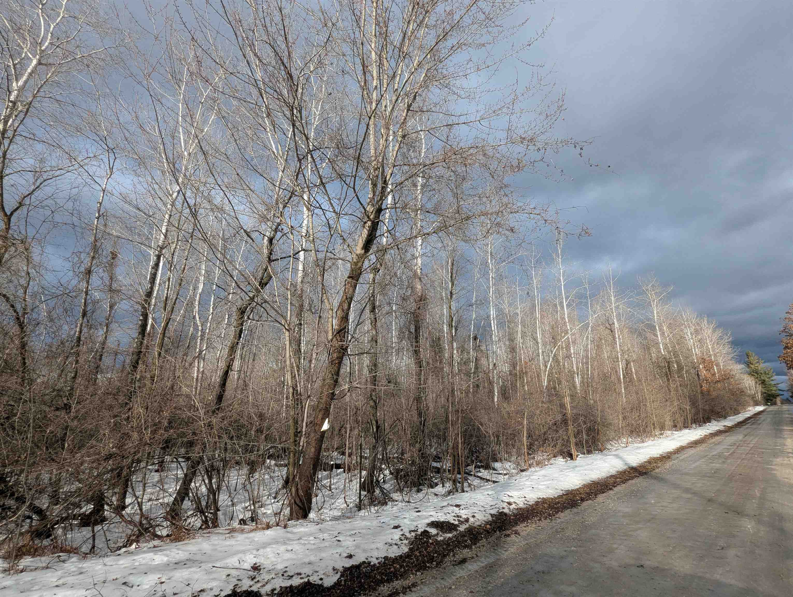 N/a Lehman Road Mason Township MI 48766