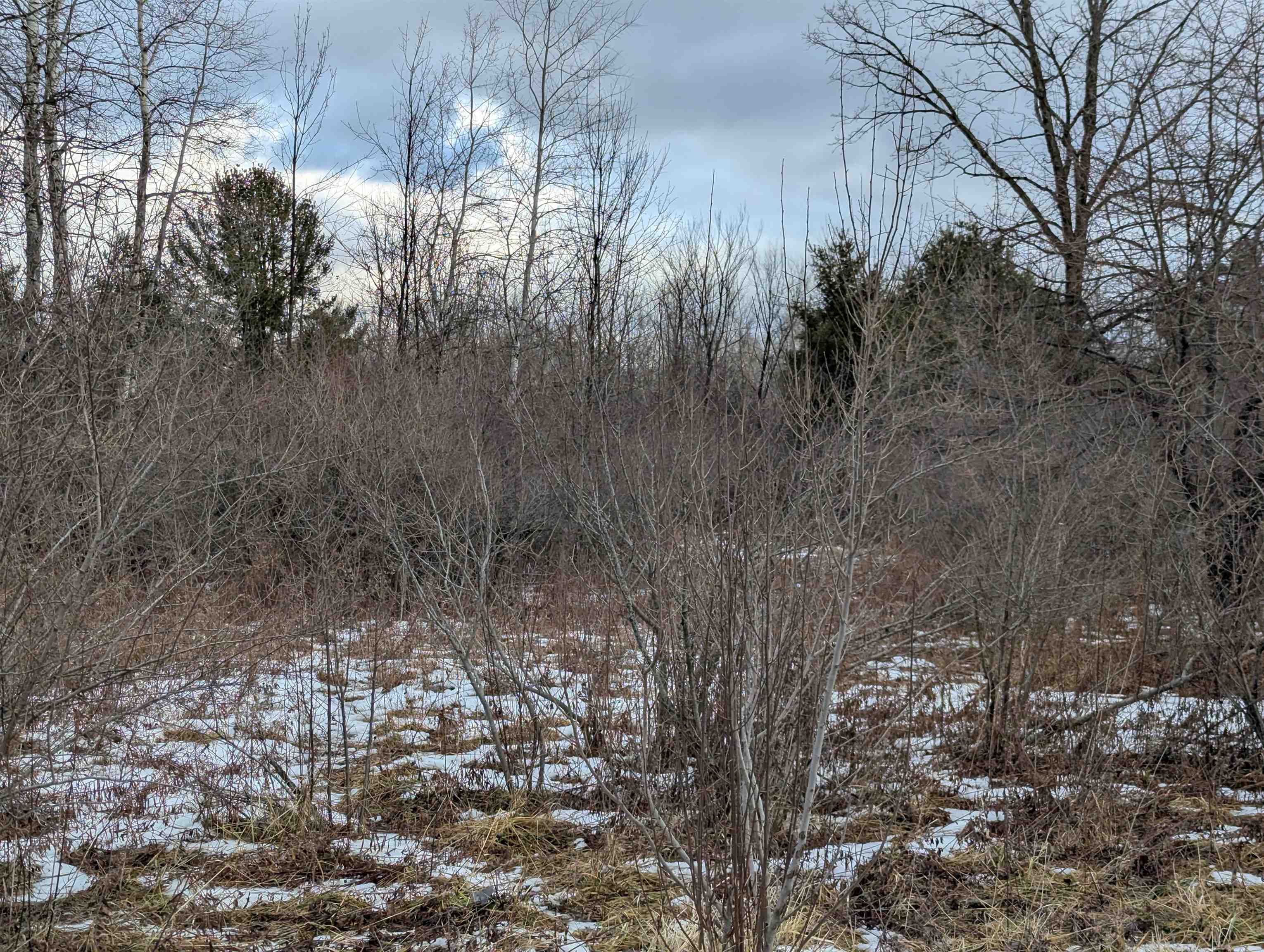 N/a Lehman Road Mason Township MI 48766