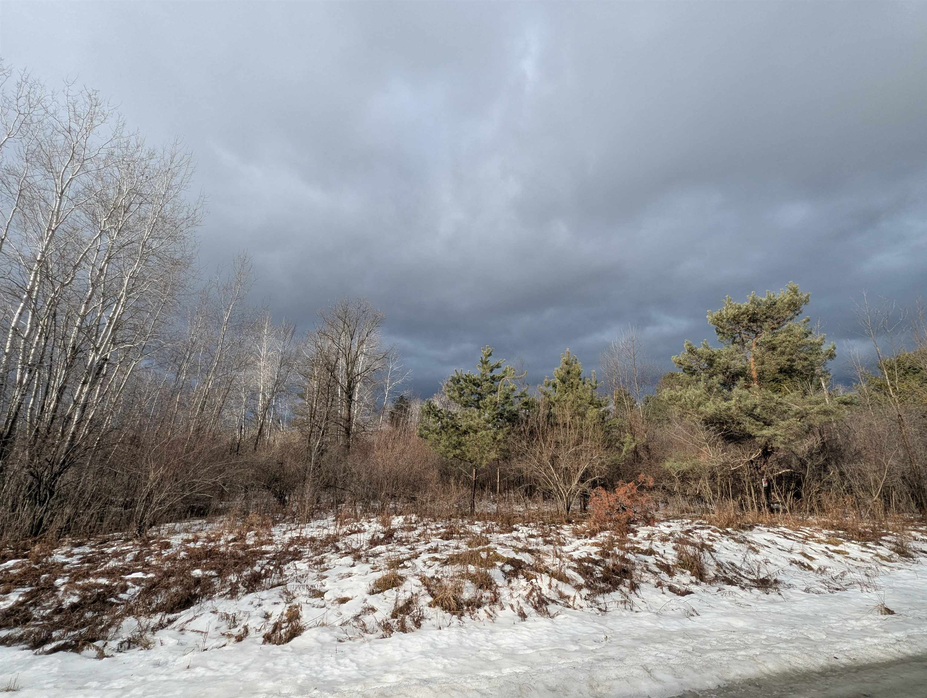 N/a Lehman Road Mason Township MI 48766