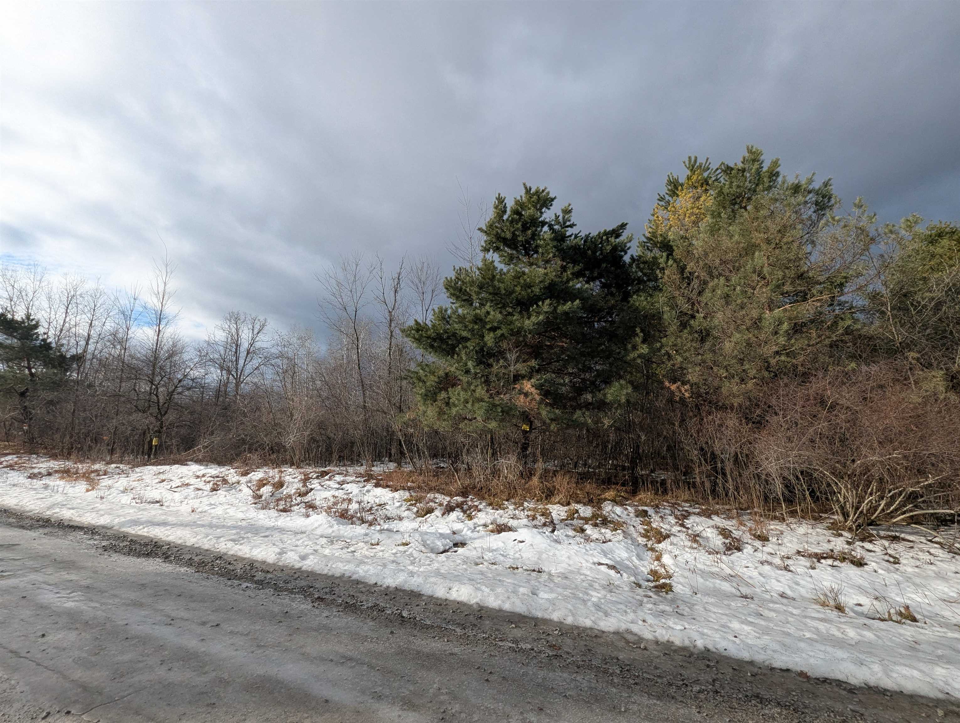 N/a Lehman Road Mason Township MI 48766
