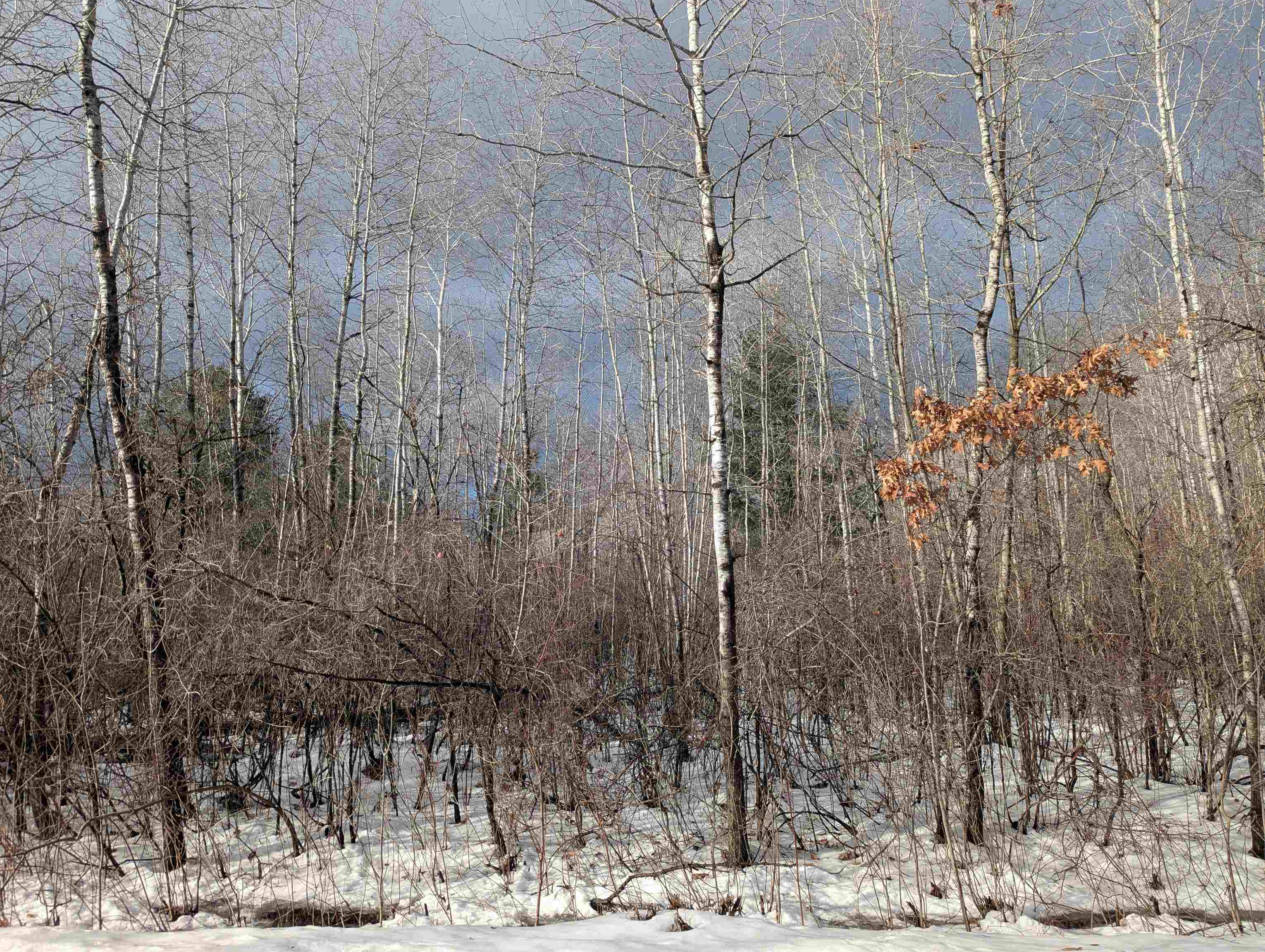 N/a Lehman Road Mason Township MI 48766