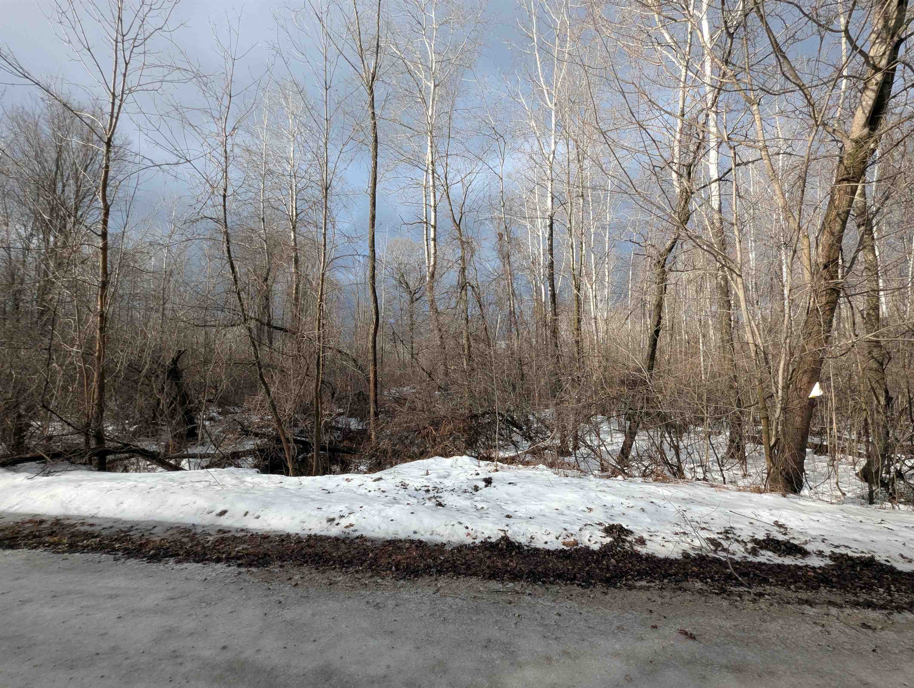 N/a Lehman Road Mason Township MI 48766