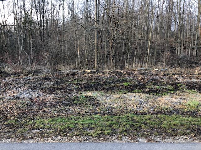 00-LOT 128 Ledgewood Drive Tyrone Township MI 48430