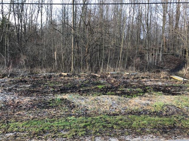 00-LOT 128 Ledgewood Drive Tyrone Township MI 48430