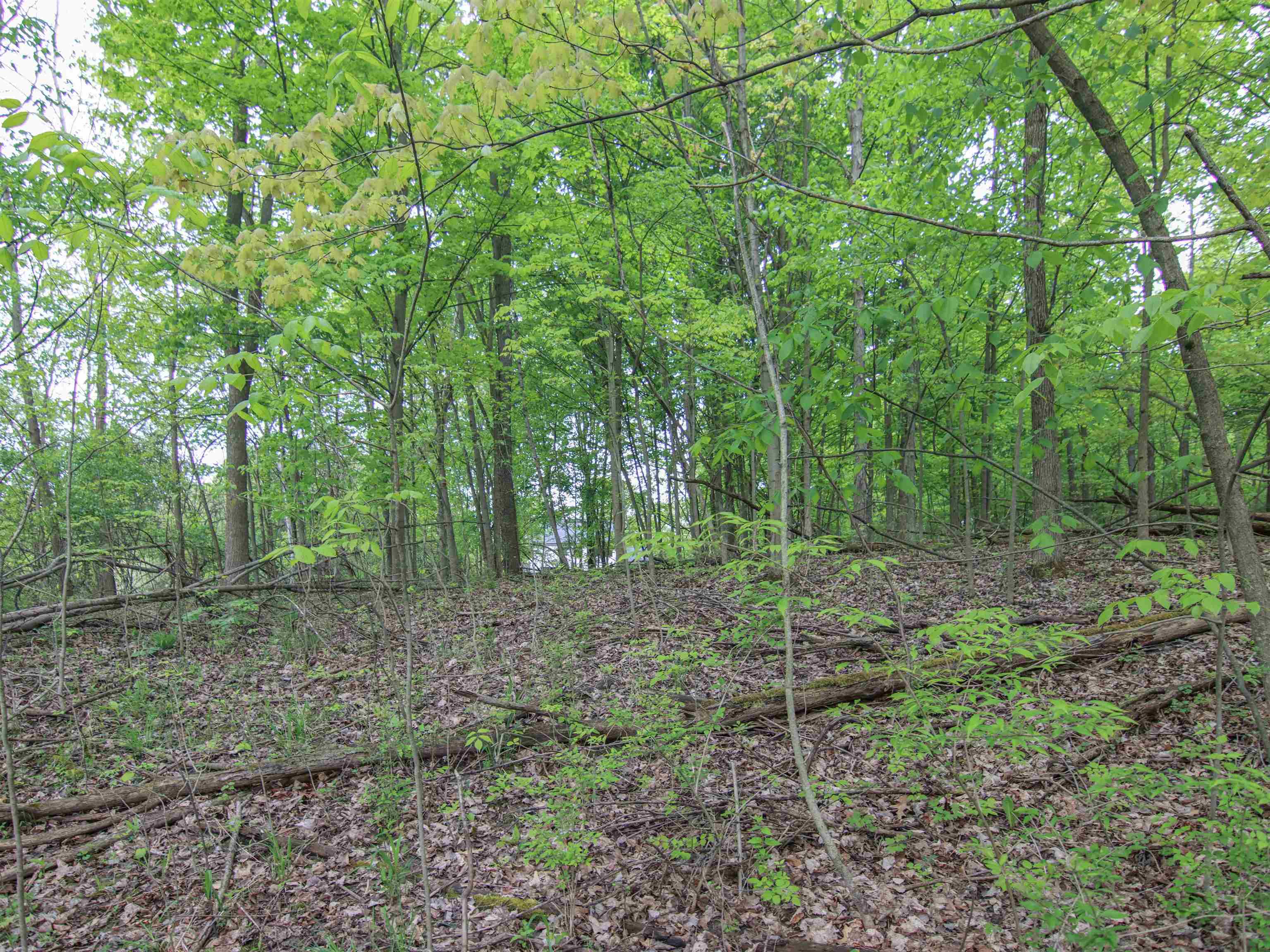 00-LOT 128 Ledgewood Drive Tyrone Township MI 48430