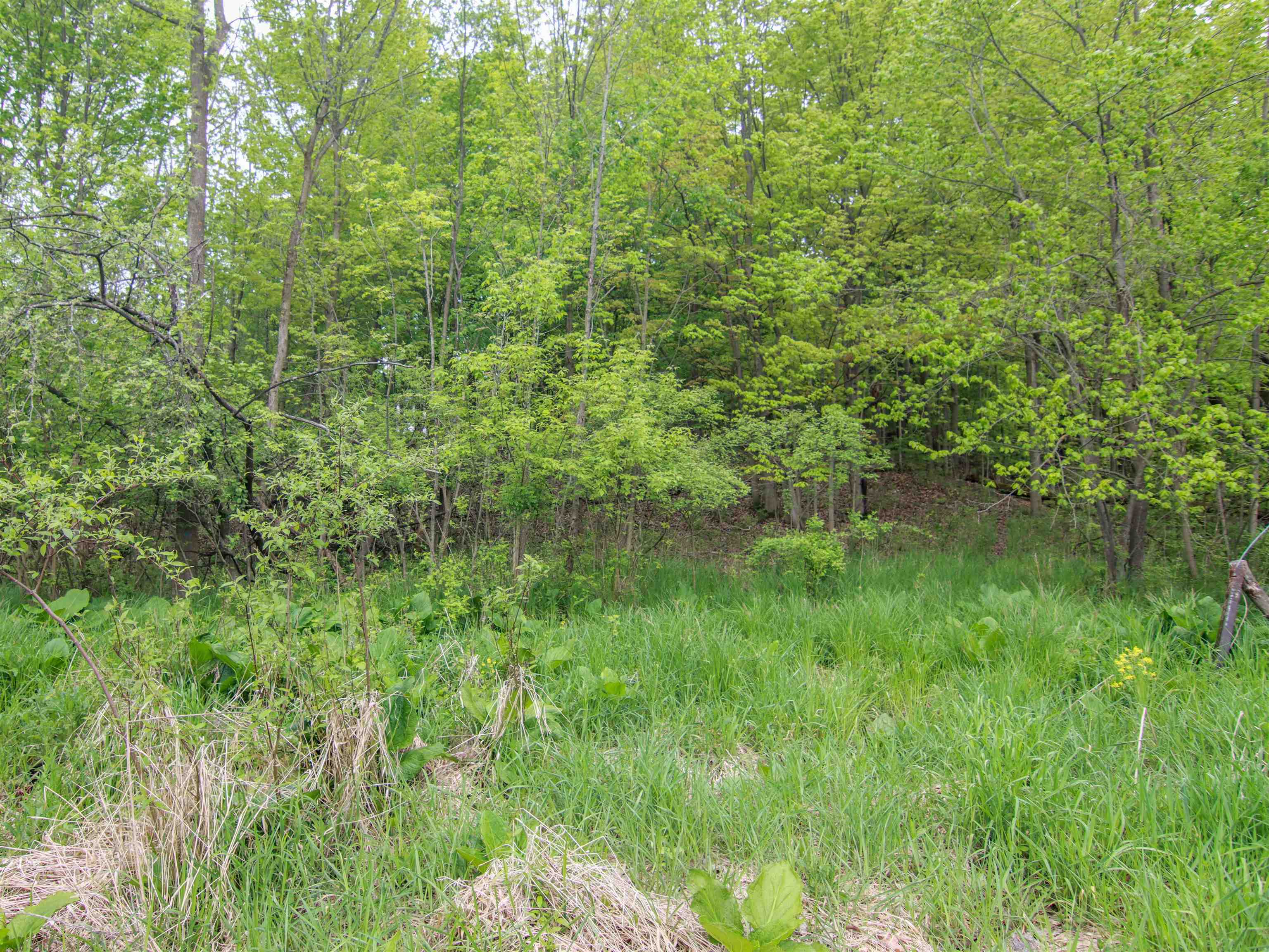 00-LOT 128 Ledgewood Drive Tyrone Township MI 48430