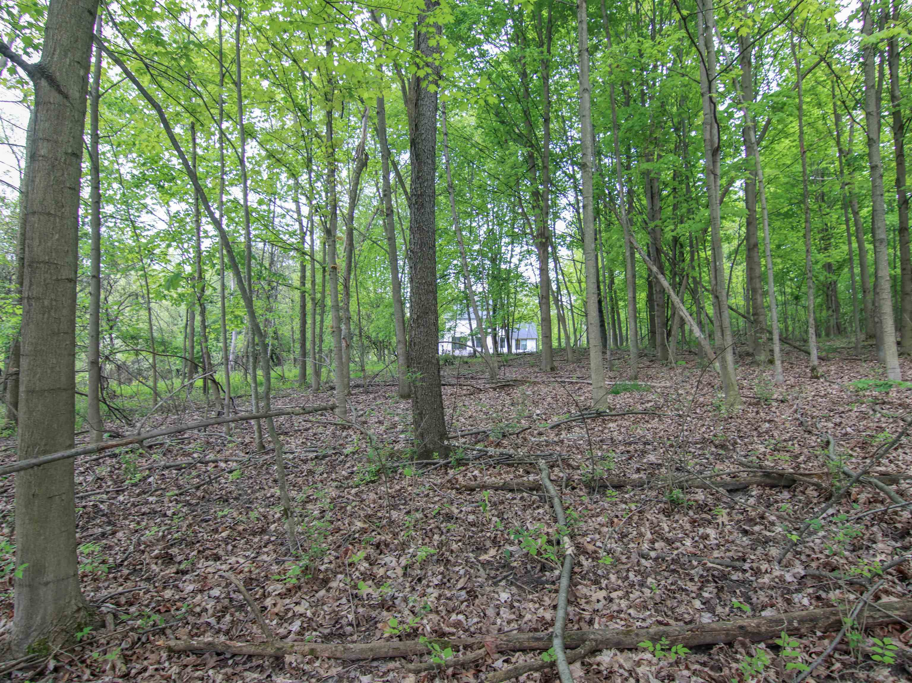 00-LOT 128 Ledgewood Drive Tyrone Township MI 48430