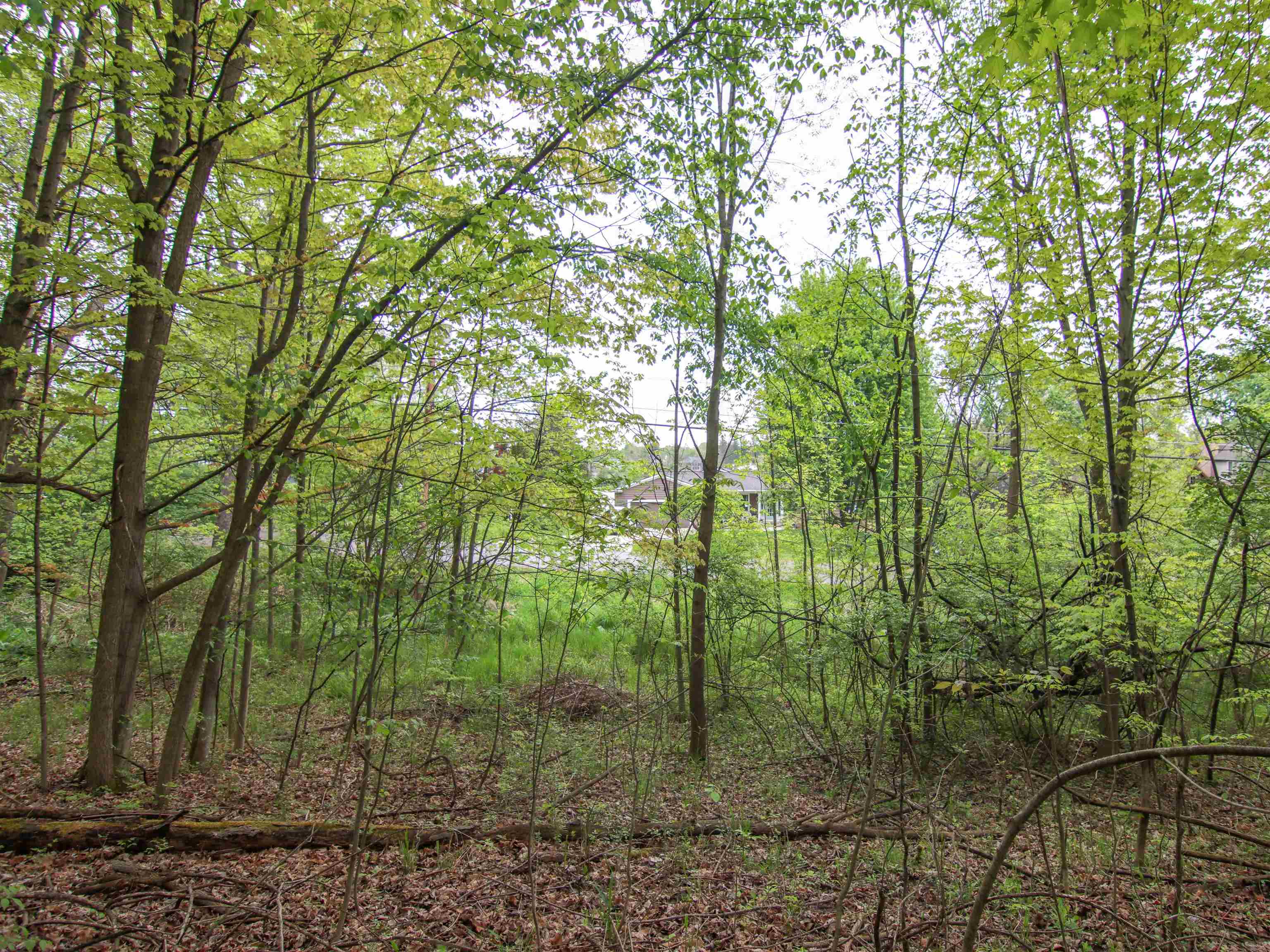 00-LOT 128 Ledgewood Drive Tyrone Township MI 48430