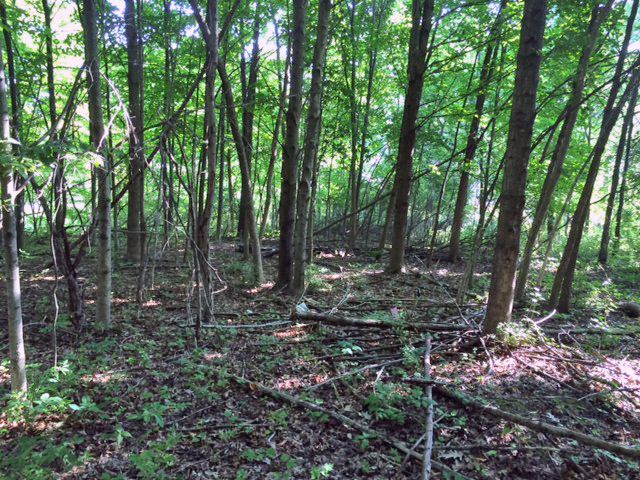 00-LOT 128 Ledgewood Drive Tyrone Township MI 48430