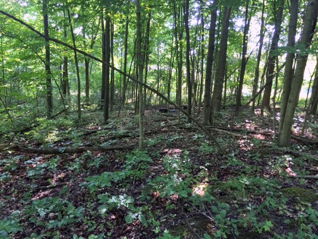 00-LOT 128 Ledgewood Drive Tyrone Township MI 48430
