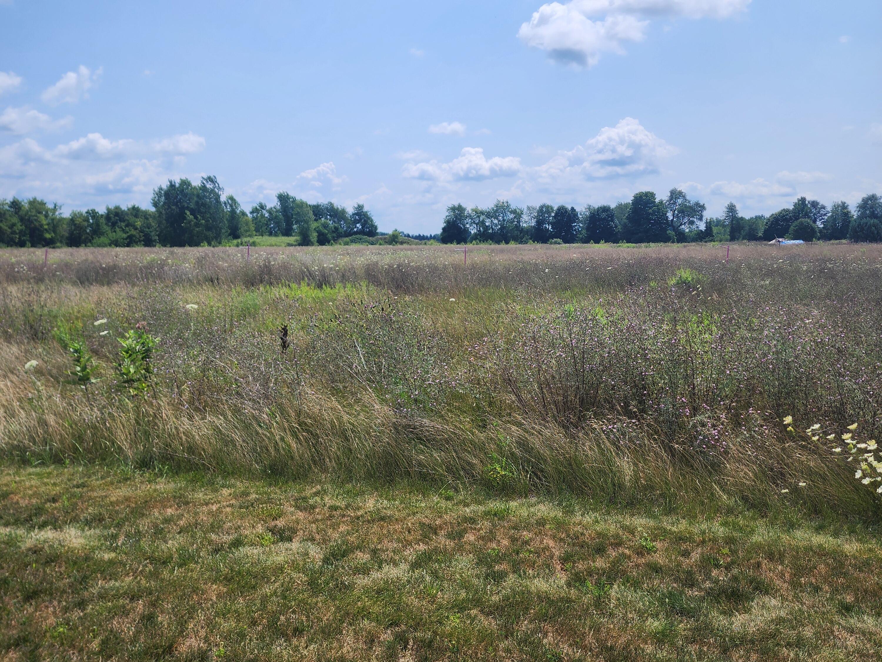 3615 S State Road Orange Township MI 48846