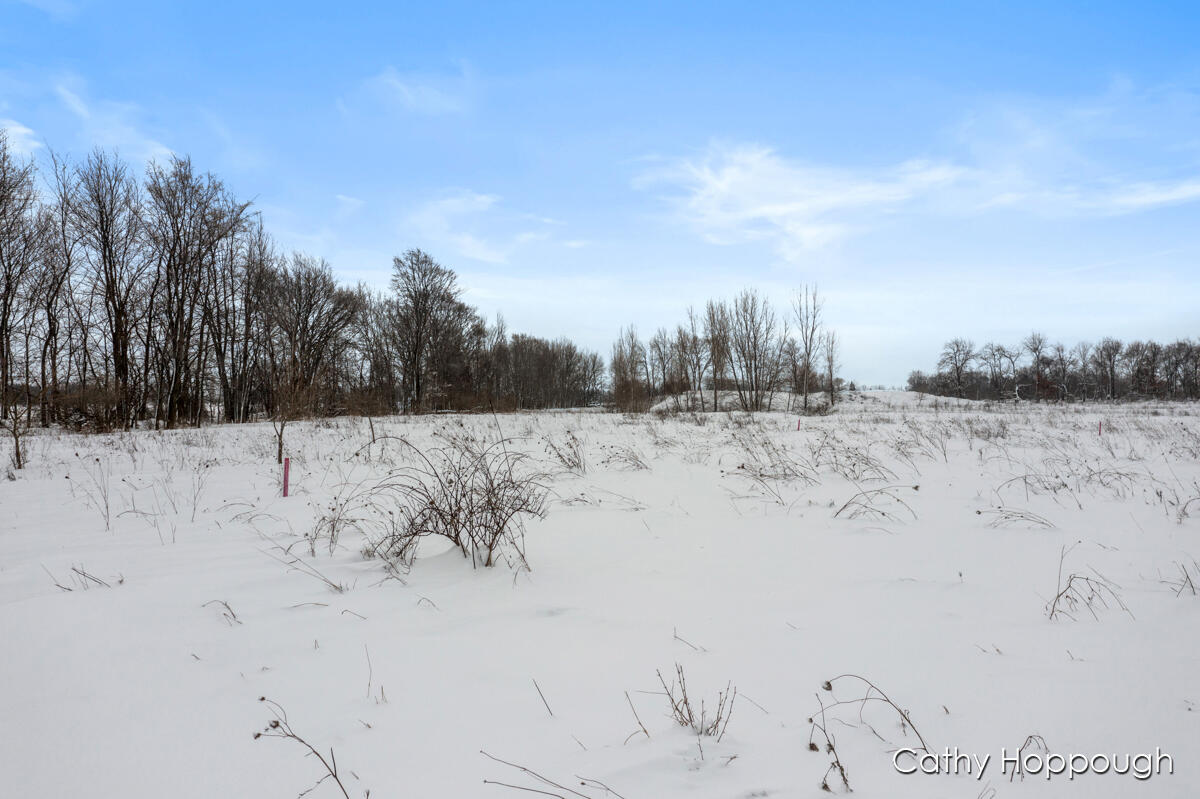 3615 S State Road Orange Township MI 48846