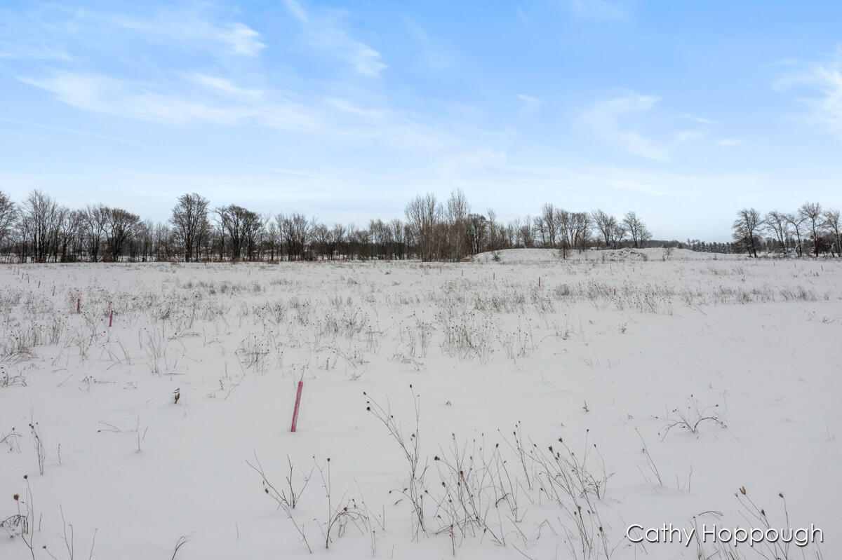 3615 S State Road Orange Township MI 48846