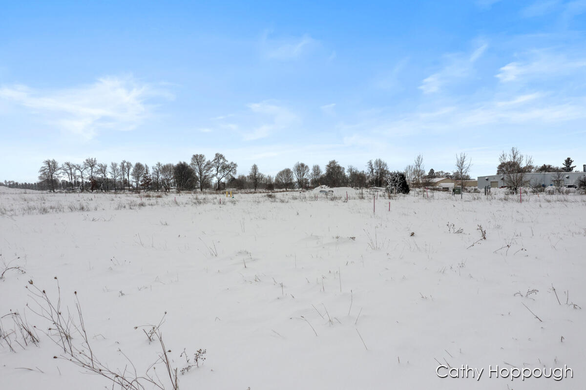 3615 S State Road Orange Township MI 48846