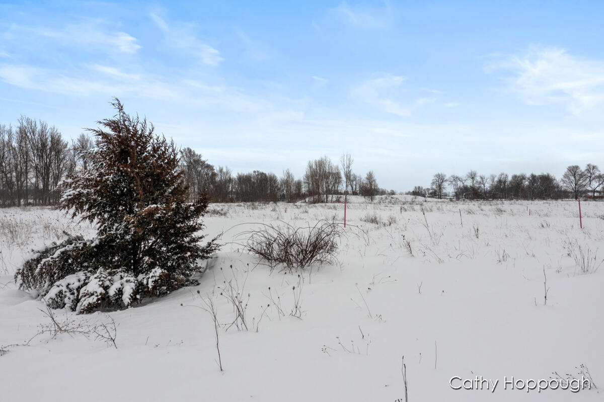 3615 S State Road Orange Township MI 48846
