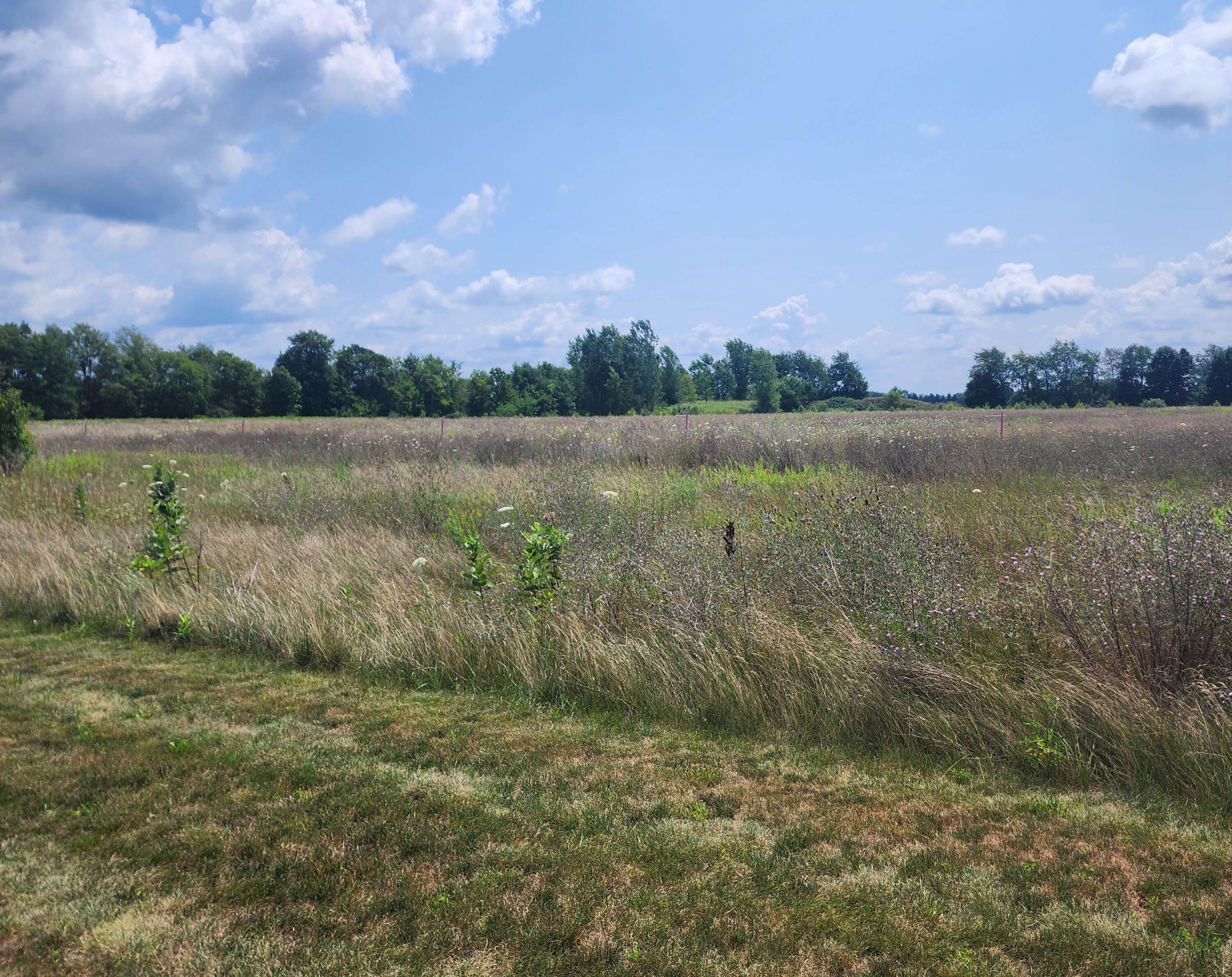 3615 S State Road Orange Township MI 48846
