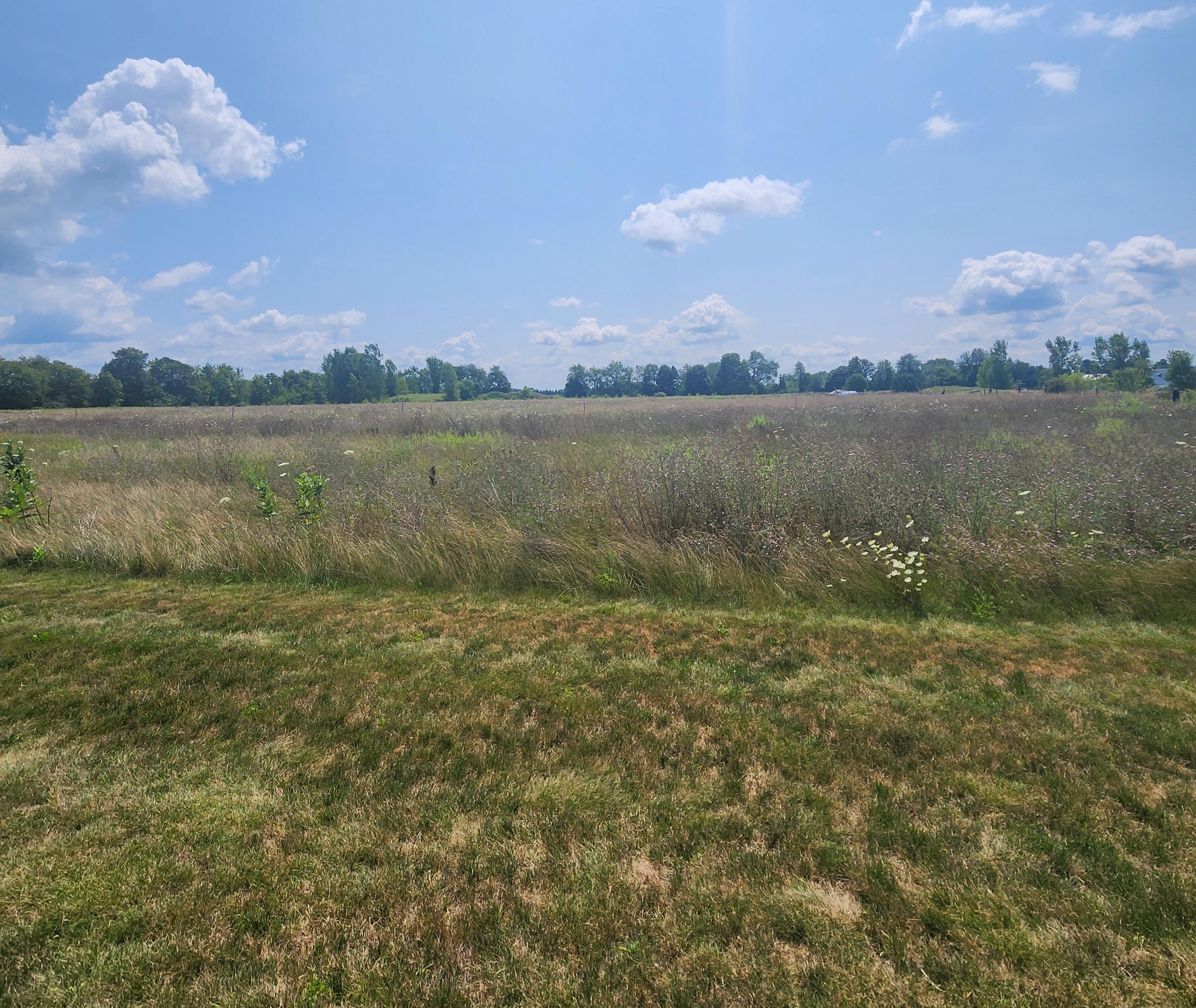3615 S State Road Orange Township MI 48846