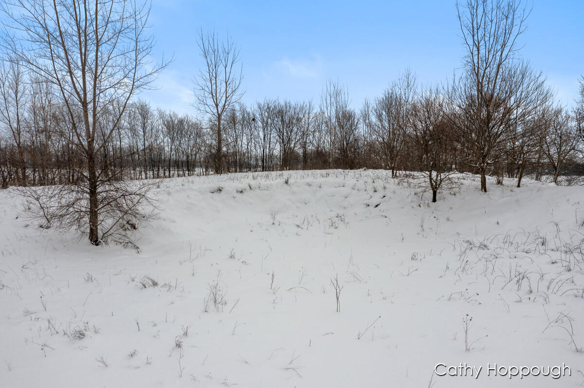 3615 S State Road Orange Township MI 48846