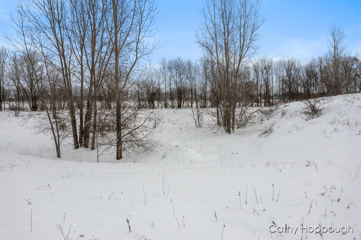 3615 S State Road Orange Township MI 48846
